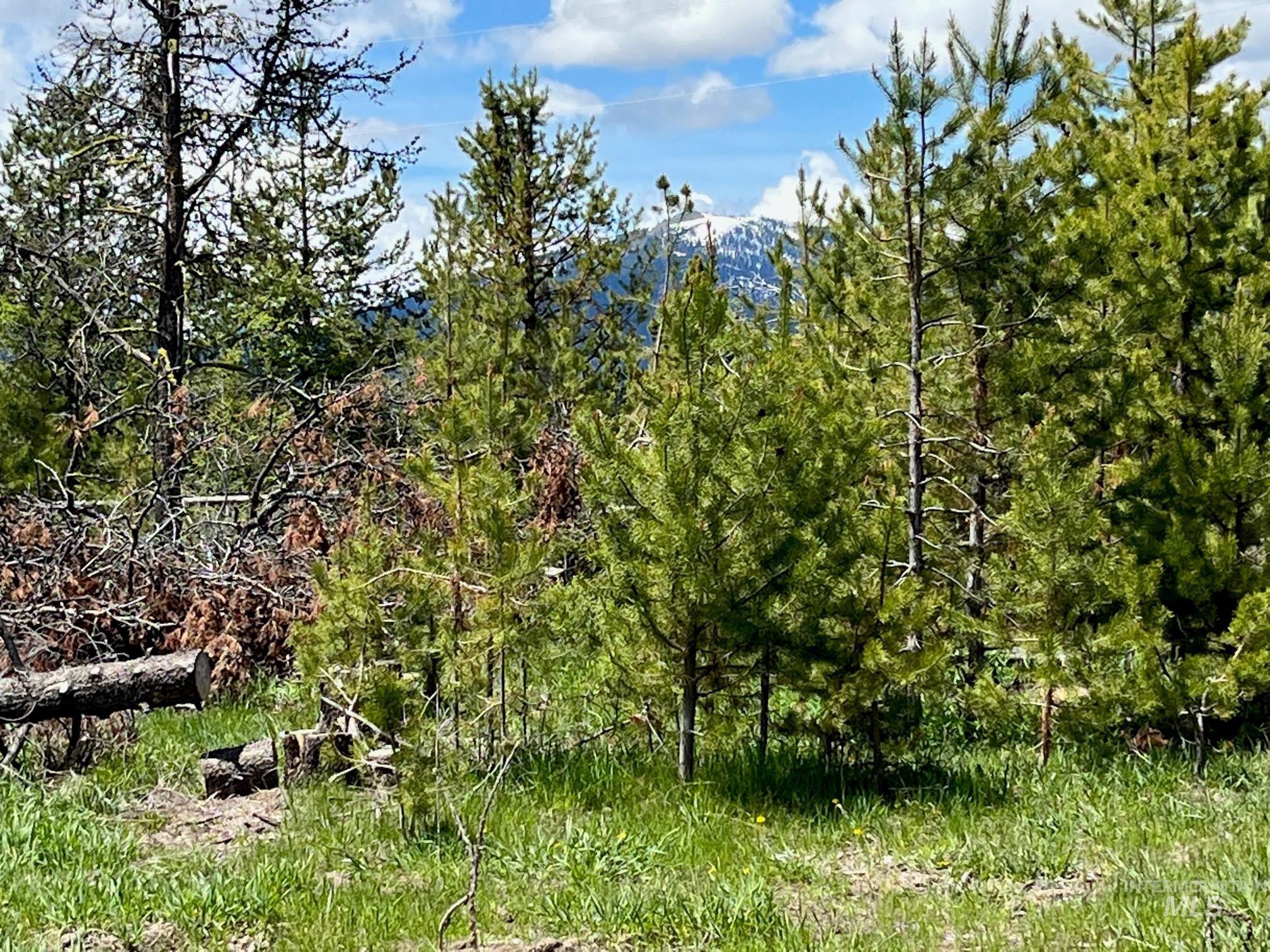 13480 & TBD Gunsmoke Road, McCall, Idaho 83638, Land For Sale, Price $699,000, 98846453