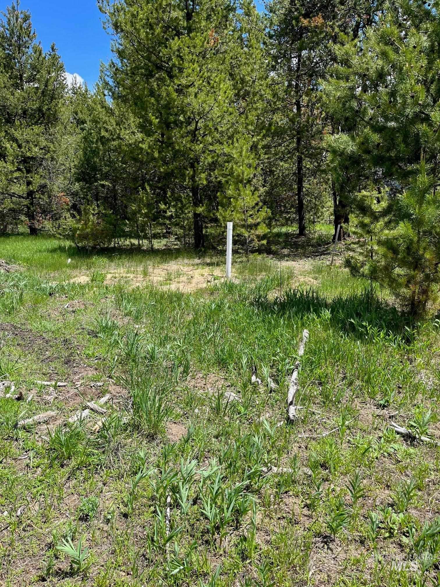 13480 & TBD Gunsmoke Road, McCall, Idaho 83638, Land For Sale, Price $699,000, 98846453