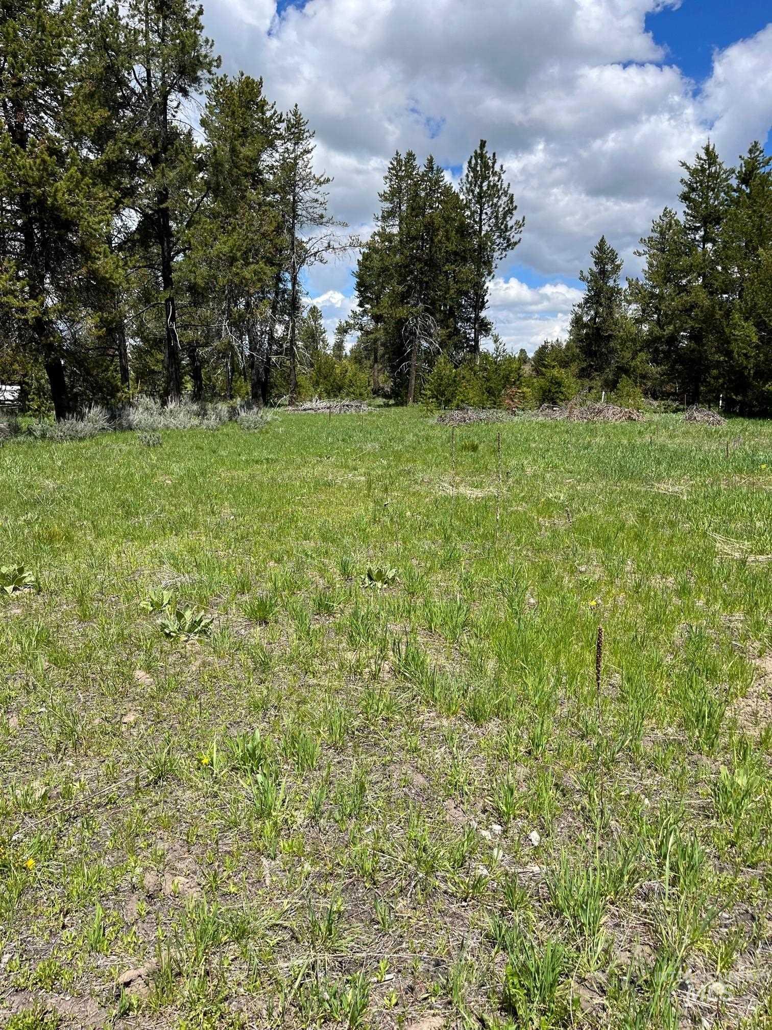 13480 & TBD Gunsmoke Road, McCall, Idaho 83638, Land For Sale, Price $699,000, 98846453