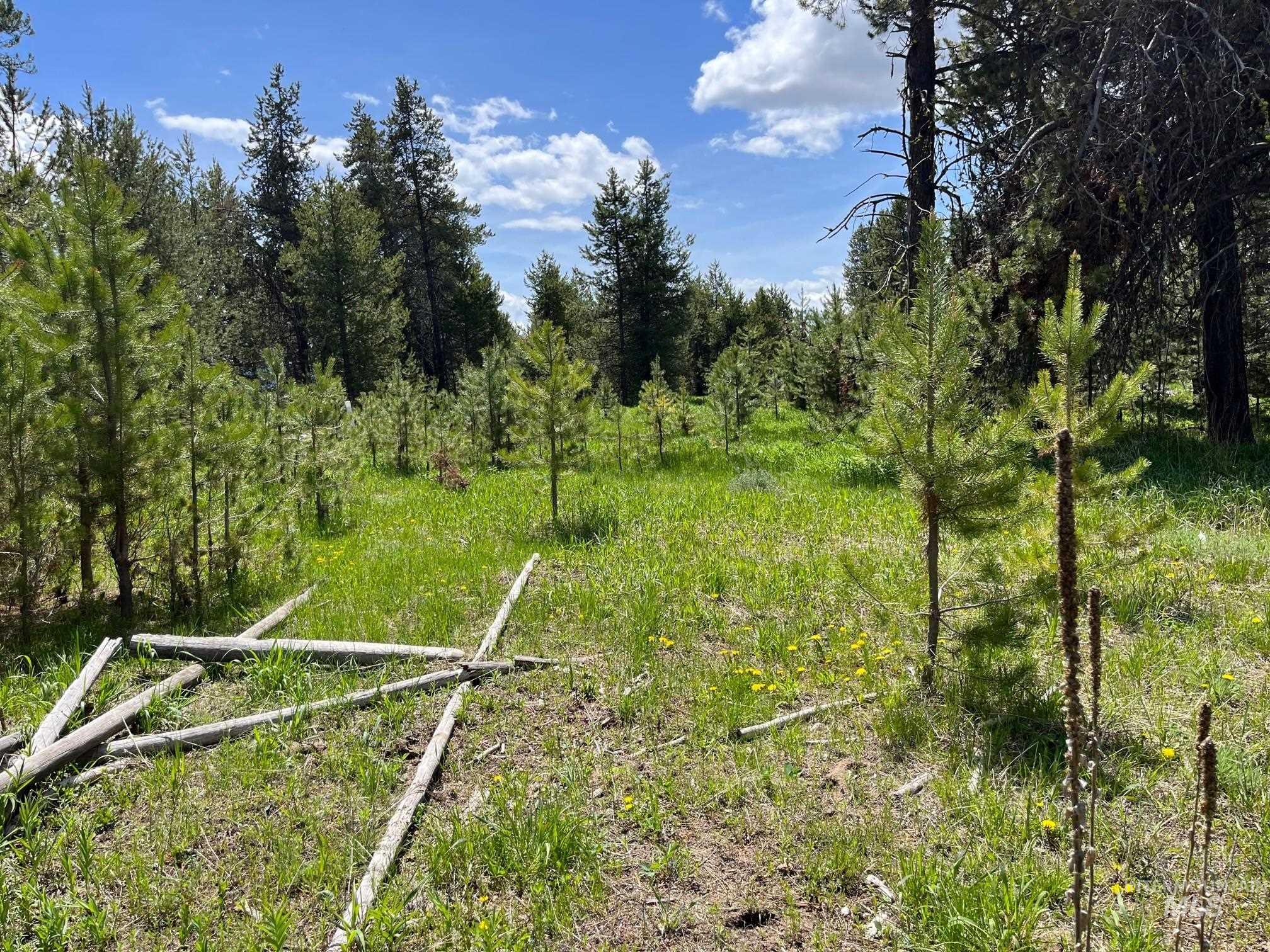 13480 & TBD Gunsmoke Road, McCall, Idaho 83638, Land For Sale, Price $699,000, 98846453