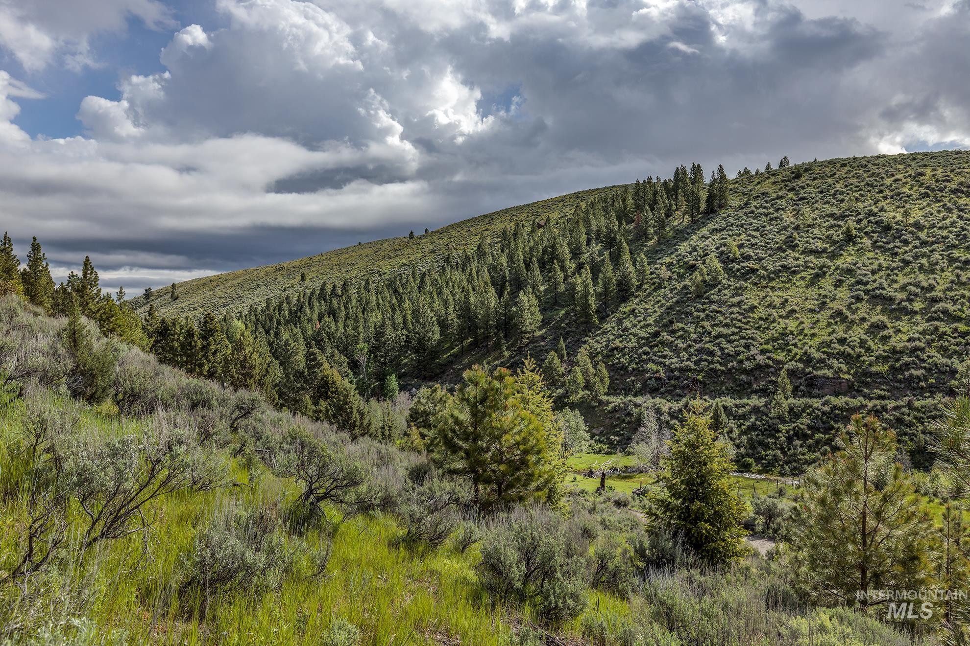 1680 FS Road, Unity, Oregon 97884, Farm & Ranch For Sale, Price $873,600, 98847772