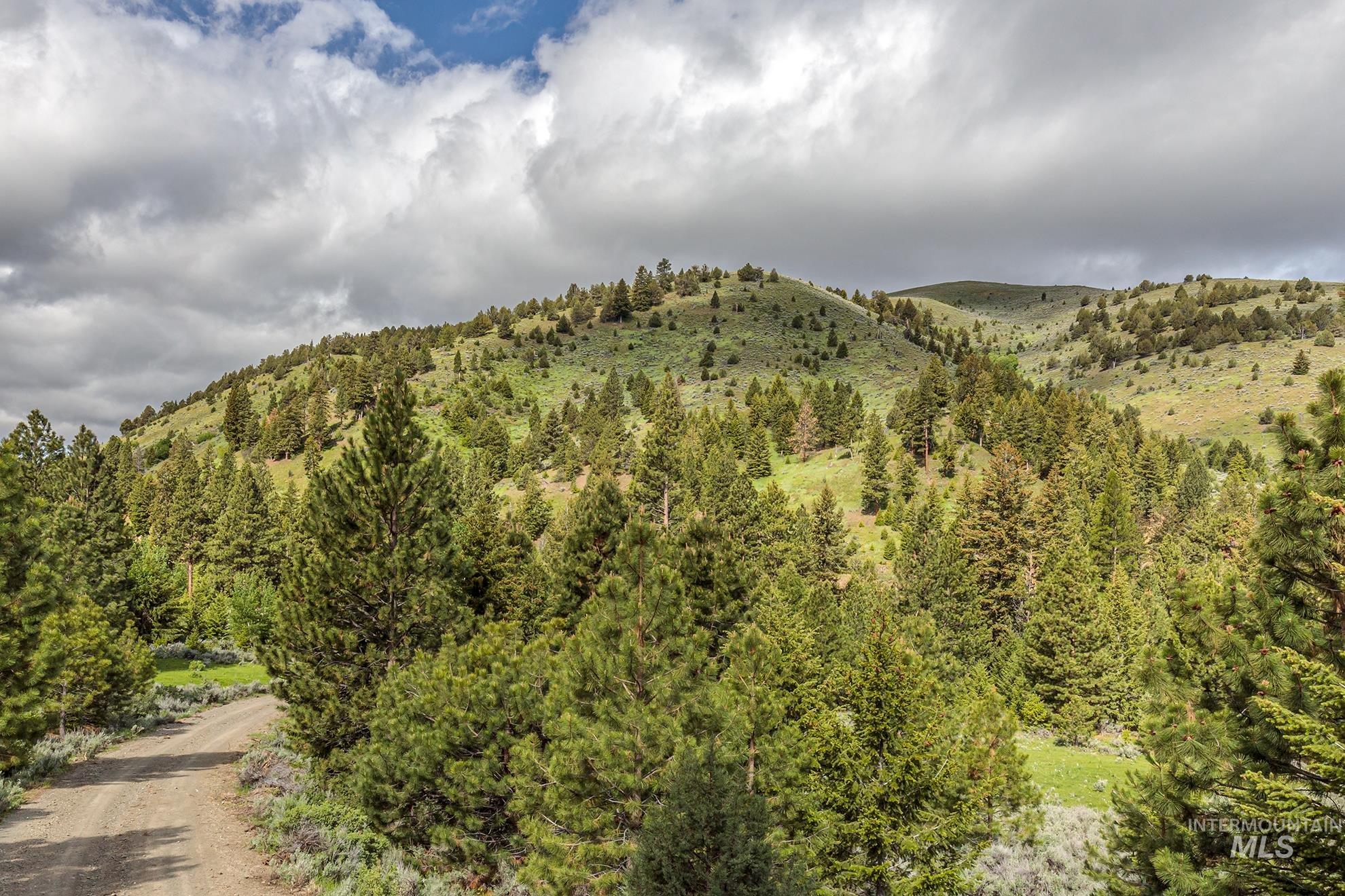 1680 FS Road, Unity, Oregon 97884, Farm & Ranch For Sale, Price $873,600, 98847772