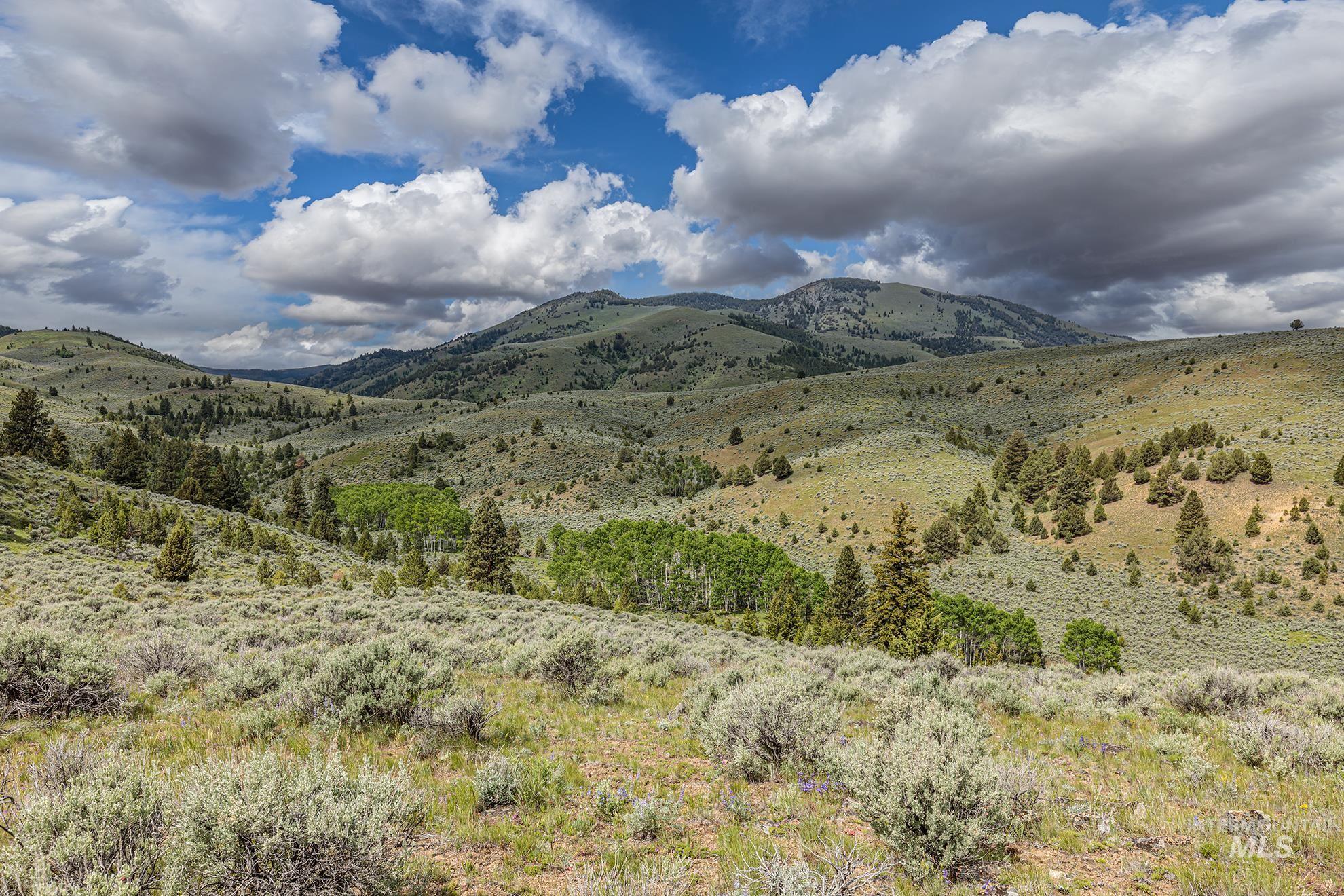 1680 FS Road, Unity, Oregon 97884, Farm & Ranch For Sale, Price $873,600, 98847772
