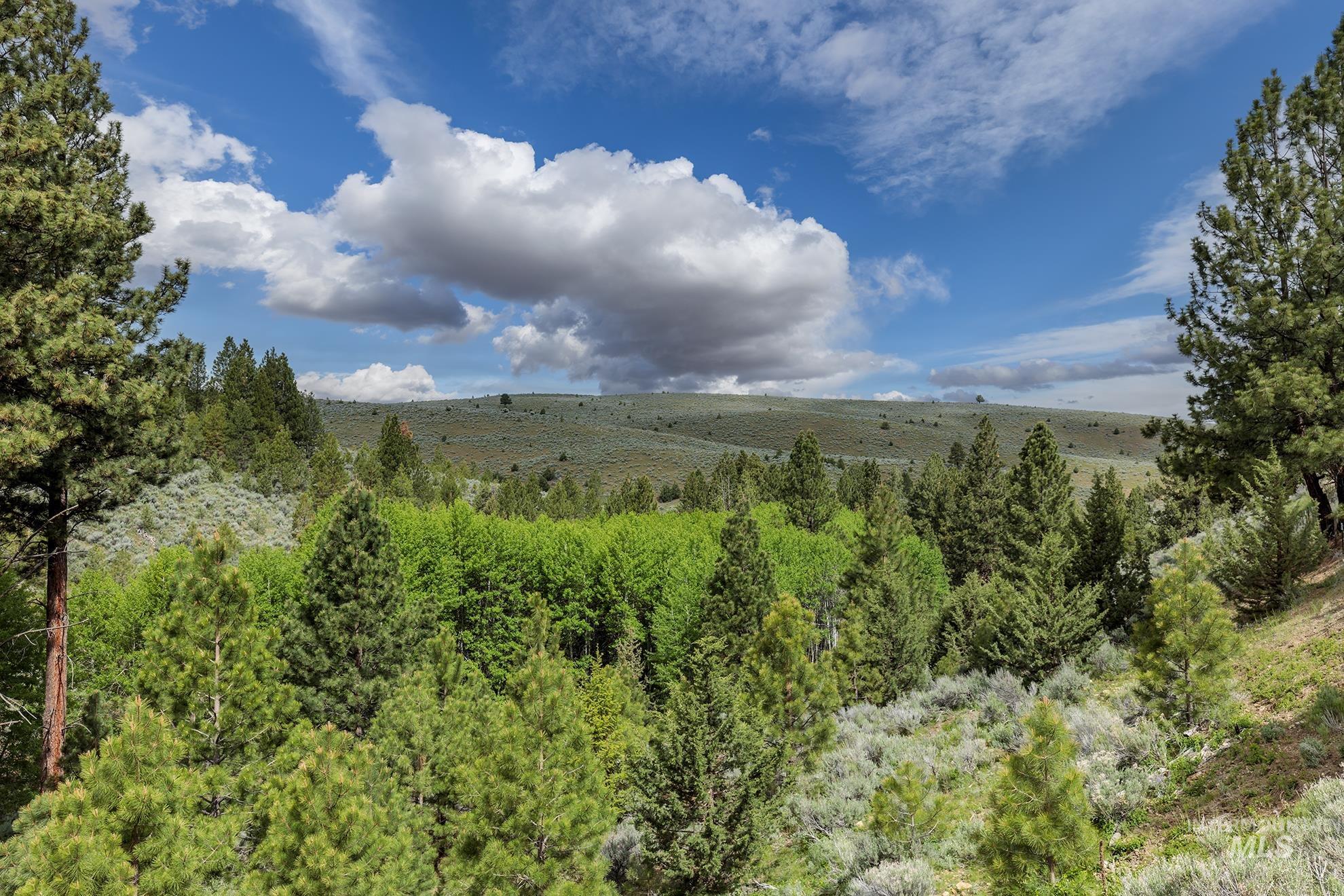 1680 FS Road, Unity, Oregon 97884, Land For Sale, Price $873,600, 98847793