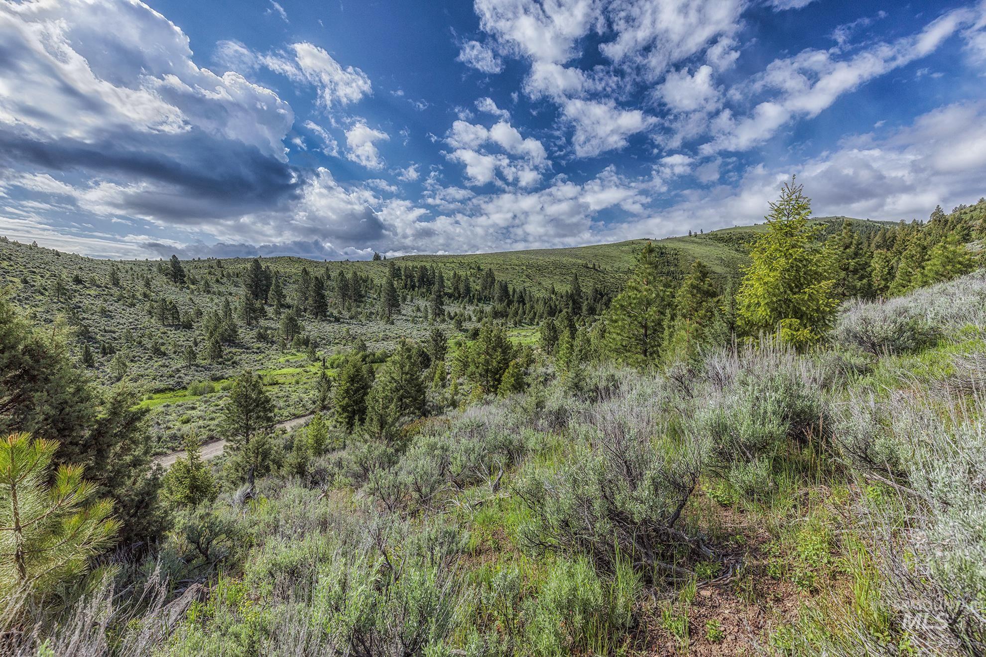 1680 FS Road, Unity, Oregon 97884, Land For Sale, Price $873,600, 98847793
