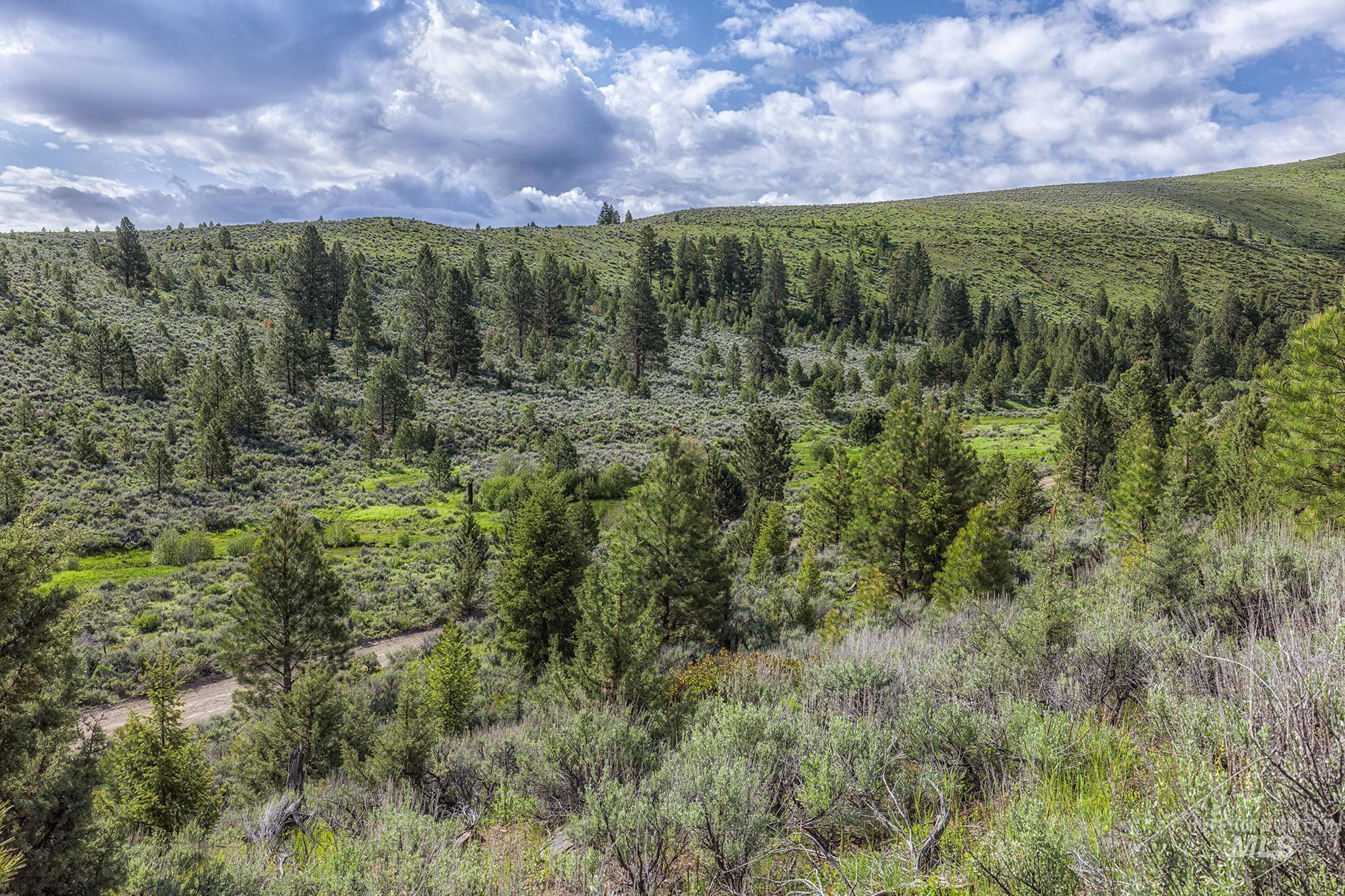 1680 FS Road, Unity, Oregon 97884, Land For Sale, Price $873,600, 98847793