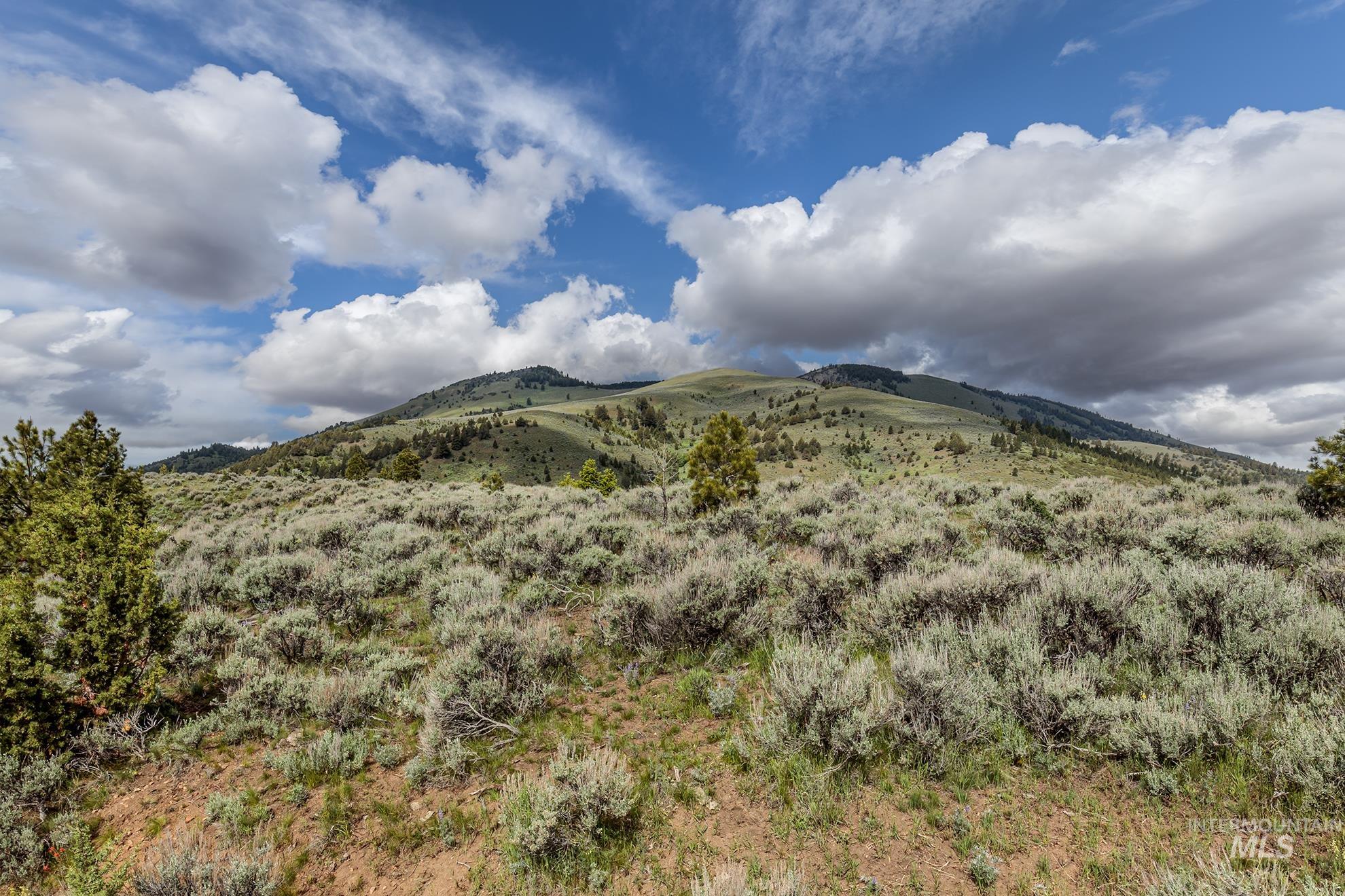 1680 FS Road, Unity, Oregon 97884, Land For Sale, Price $873,600, 98847793