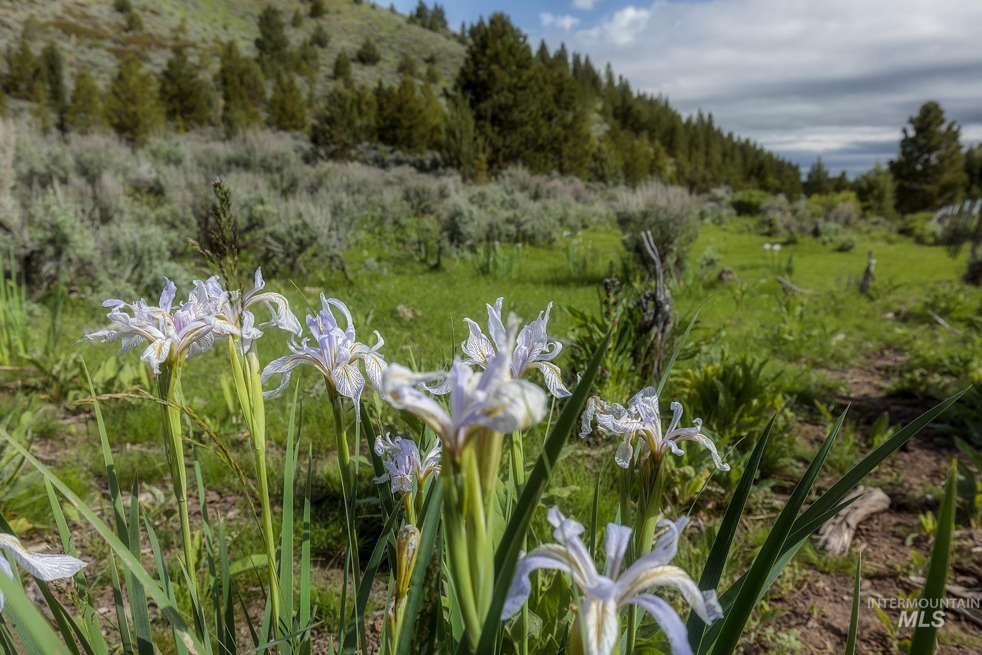 1680 FS Road, Unity, Oregon 97884, Land For Sale, Price $873,600, 98847793