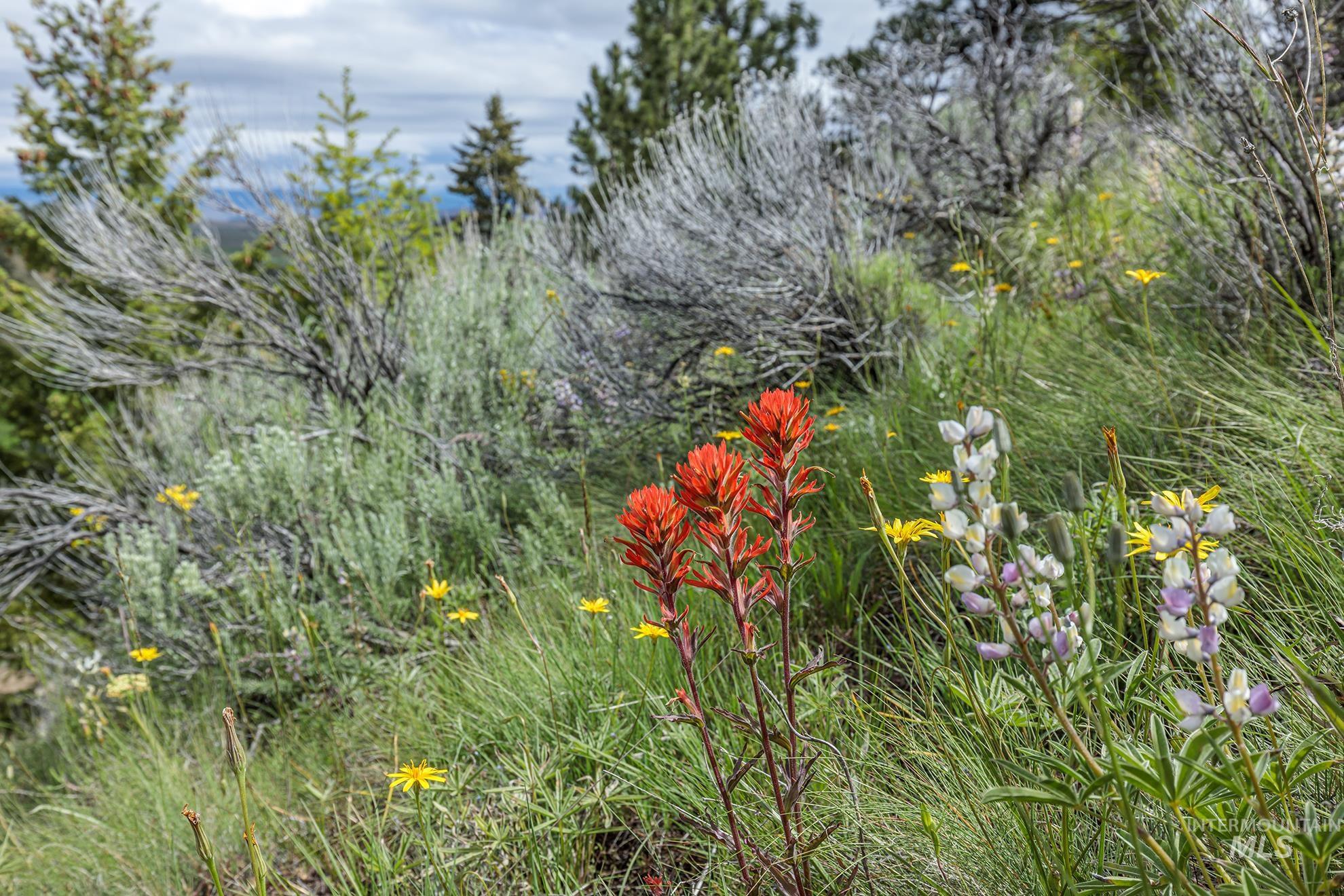 1680 FS Road, Unity, Oregon 97884, Land For Sale, Price $873,600, 98847793