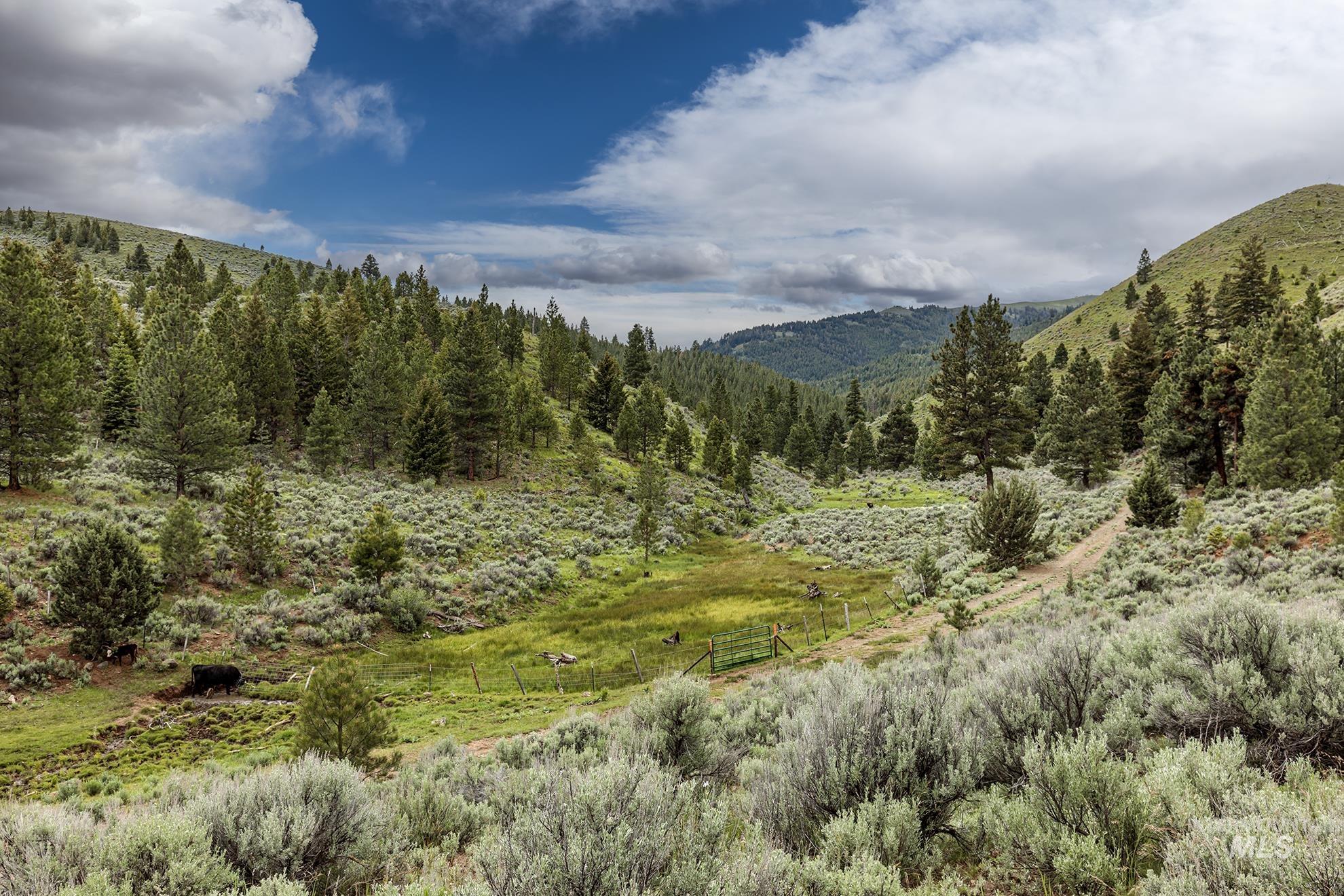 1680 FS Road, Unity, Oregon 97884, Land For Sale, Price $873,600, 98847793