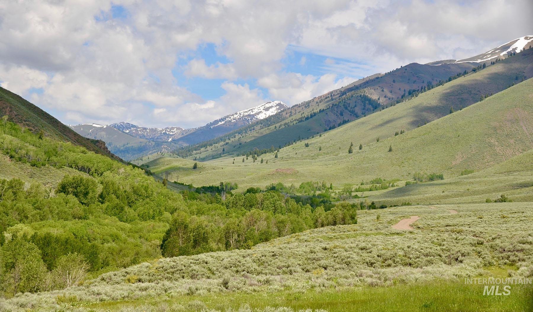 Lava Lake Road, Carey, Idaho 83320, 4 Bedrooms, 2 Bathrooms, Farm & Ranch For Sale, Price $21,000,000,MLS 98852696