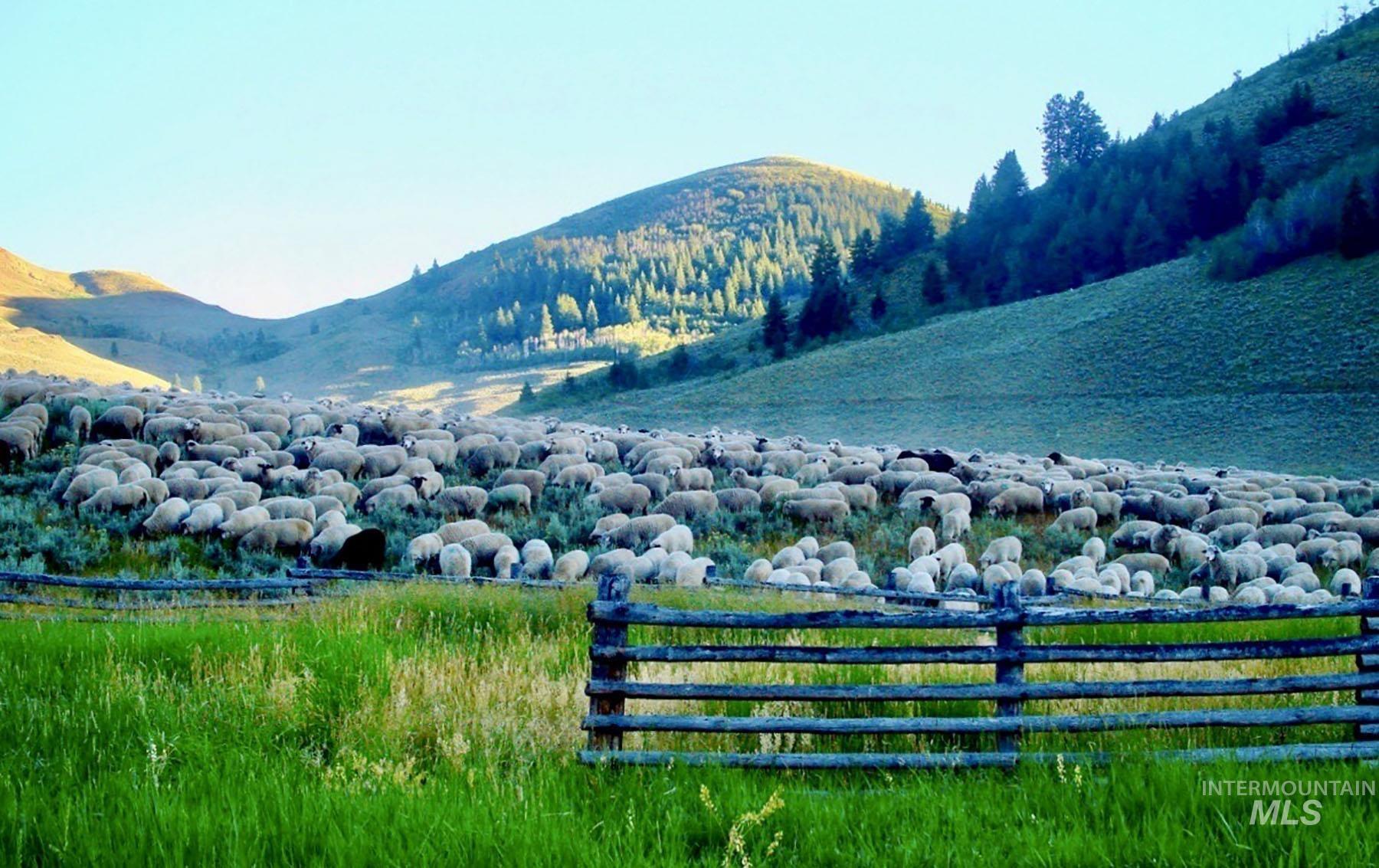 Lava Lake Road, Carey, Idaho 83320, 4 Bedrooms, 2 Bathrooms, Farm & Ranch For Sale, Price $21,000,000,MLS 98852696