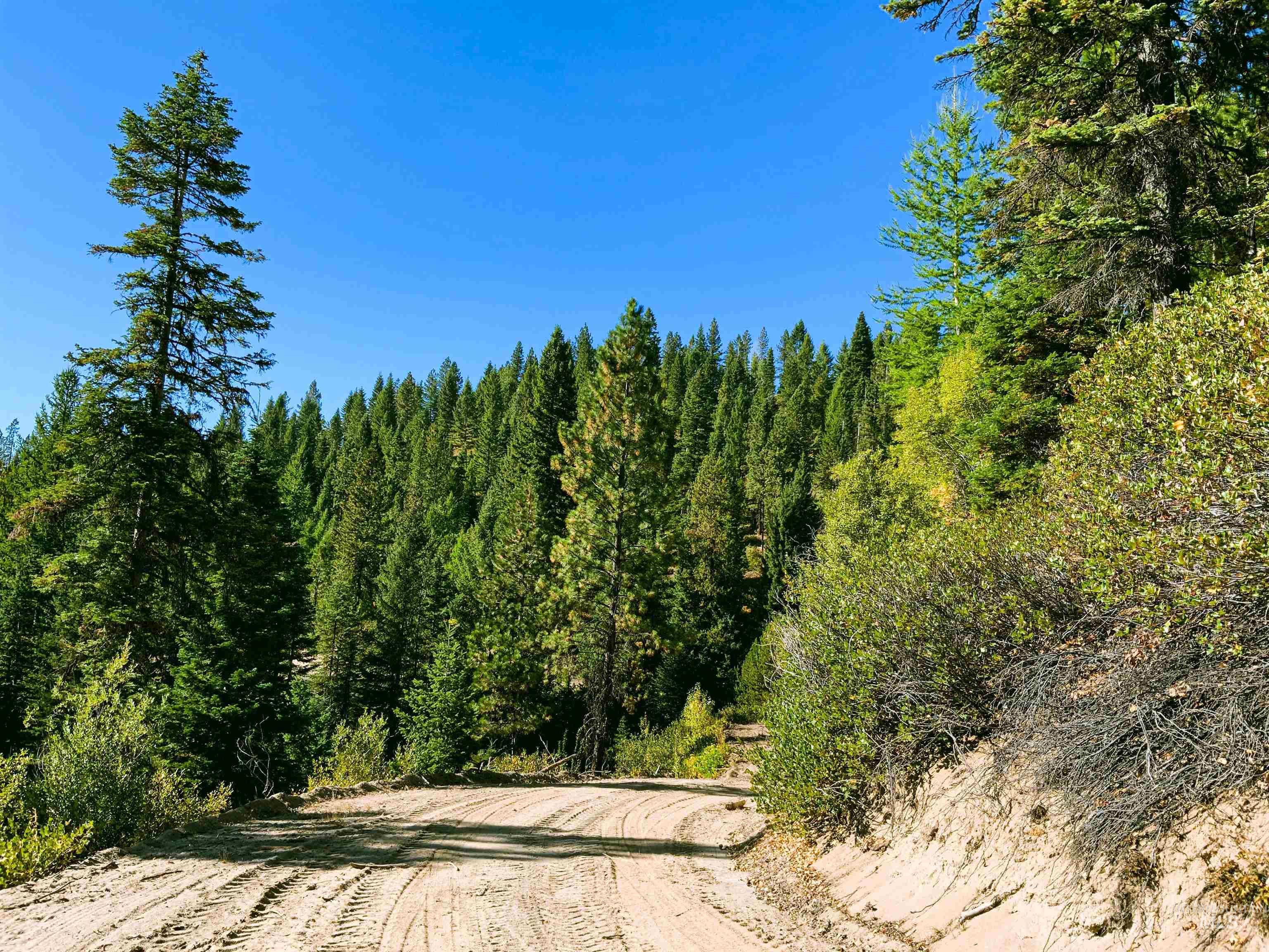 TBD1 Paddy Flat Road, McCall, Idaho 83638, Land For Sale, Price $2,980,000,MLS 98854240