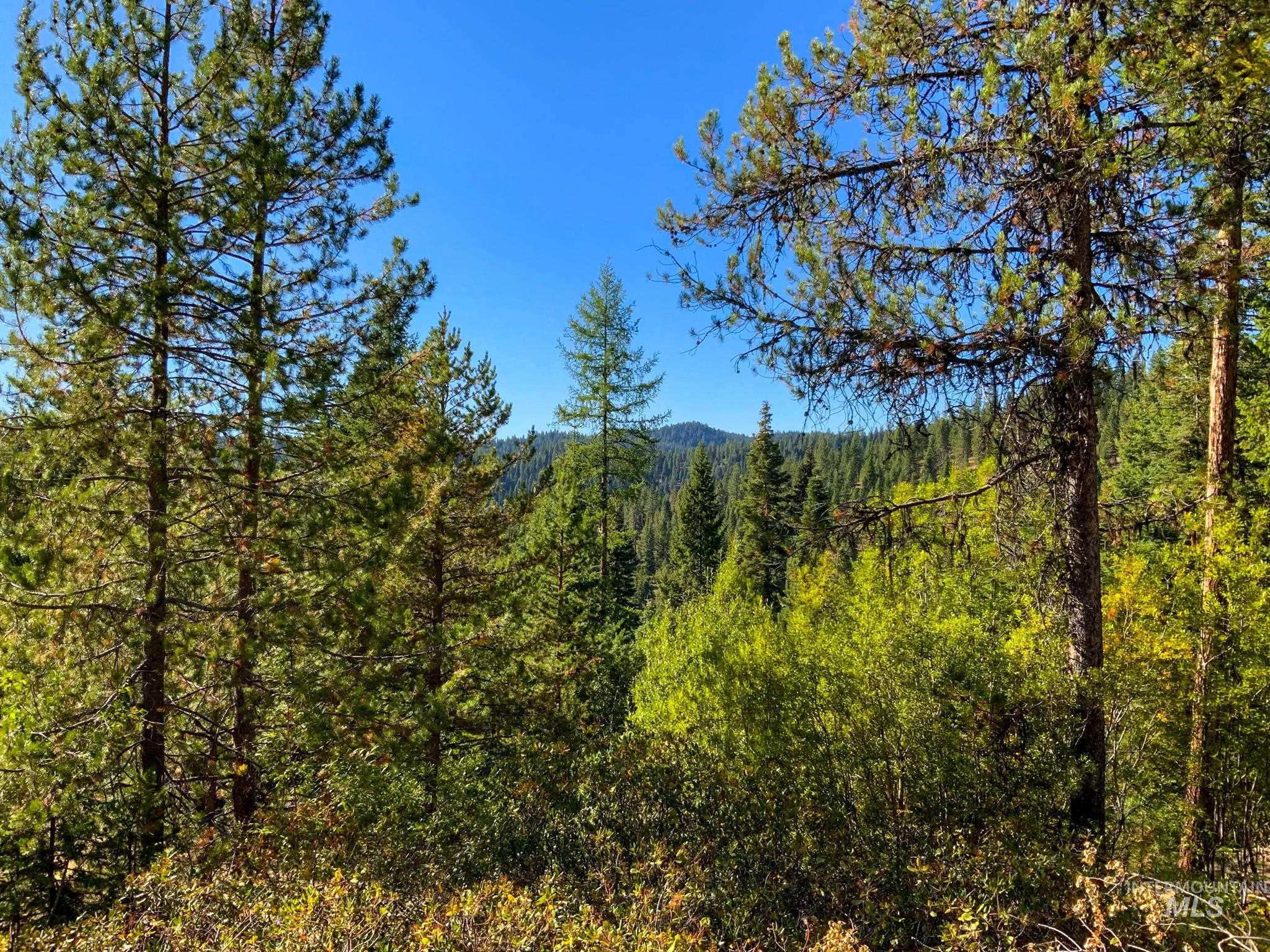 TBD1 Paddy Flat Road, McCall, Idaho 83638, Land For Sale, Price $2,980,000,MLS 98854240