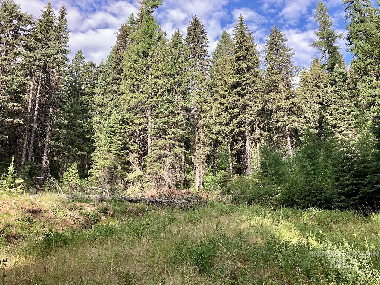 2531 West Mountain Road, Donnelly, Idaho 83615, Land For Sale, Price $299,000, 98854475