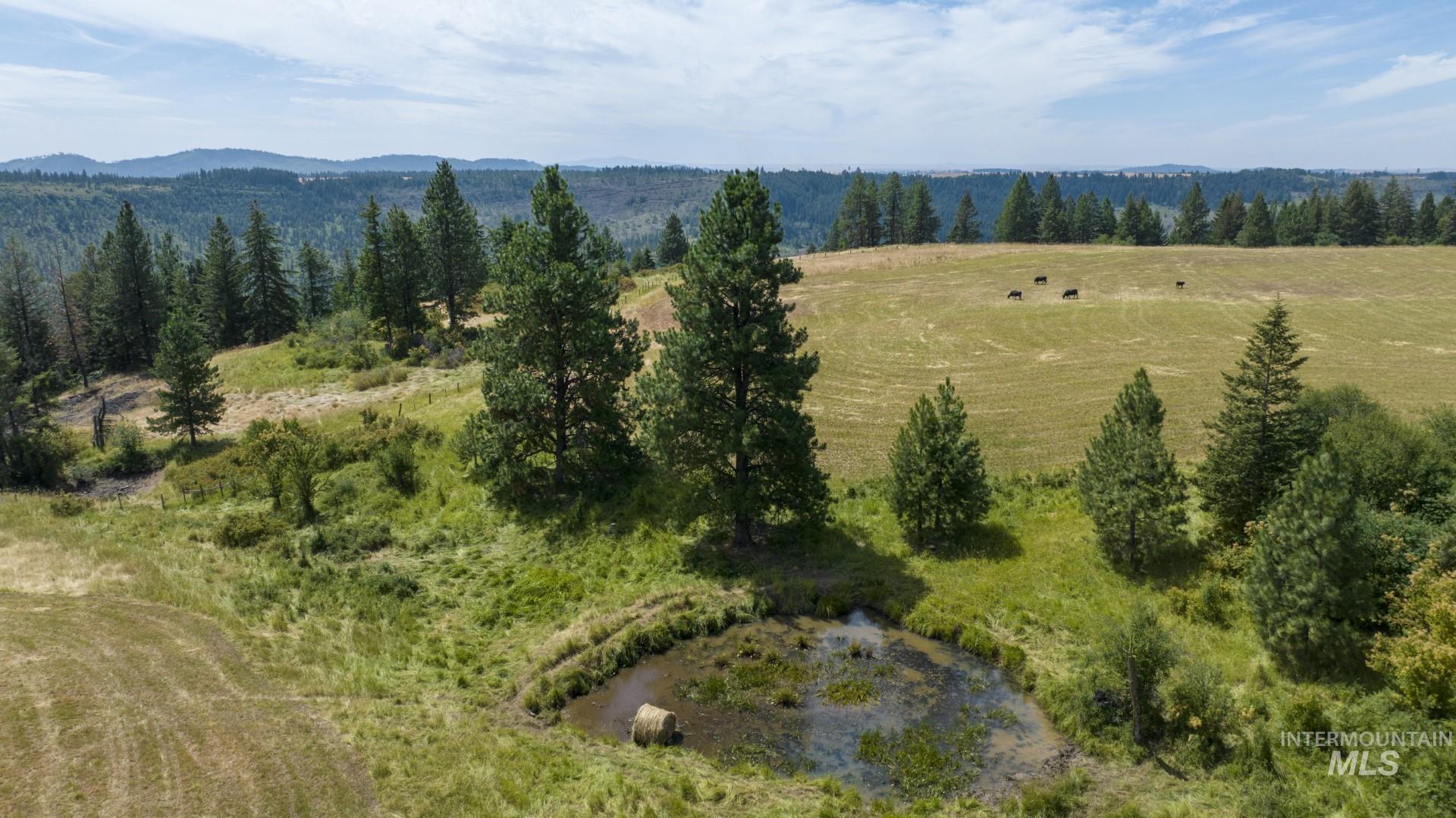 1605 Jasmine Ln, Parcel 15, Weippe, Idaho 83553, Land For Sale, Price $185,000,MLS 98854997