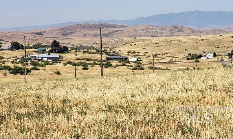 TBD a portion of 1324 Hwy 95, Lot 4, Mesa, Idaho 83643, Land For Sale, Price $160,000,MLS 98855358