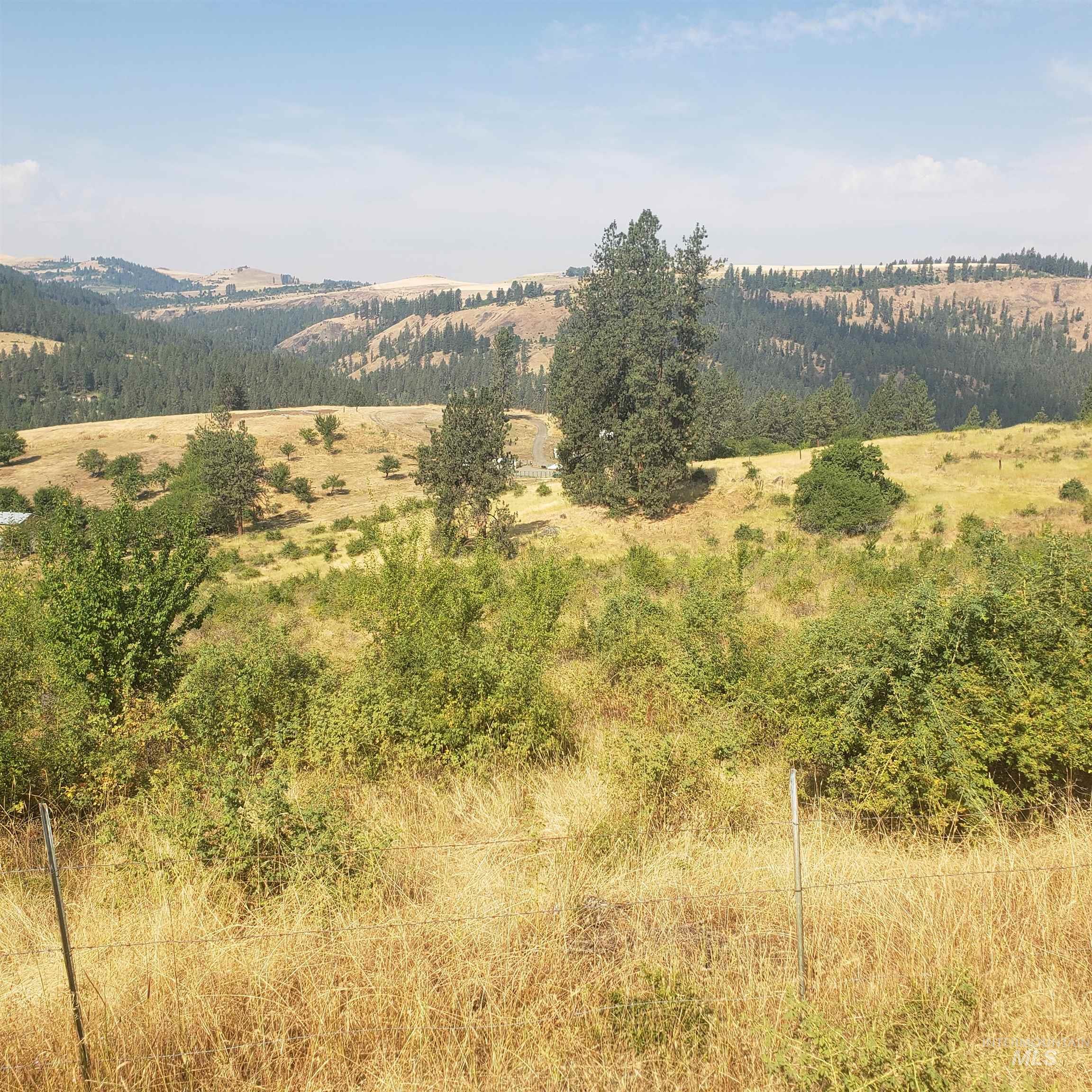 TBD Clearwater Drive, Harpster, Idaho 83552, Land For Sale, Price $99,000,MLS 98856058