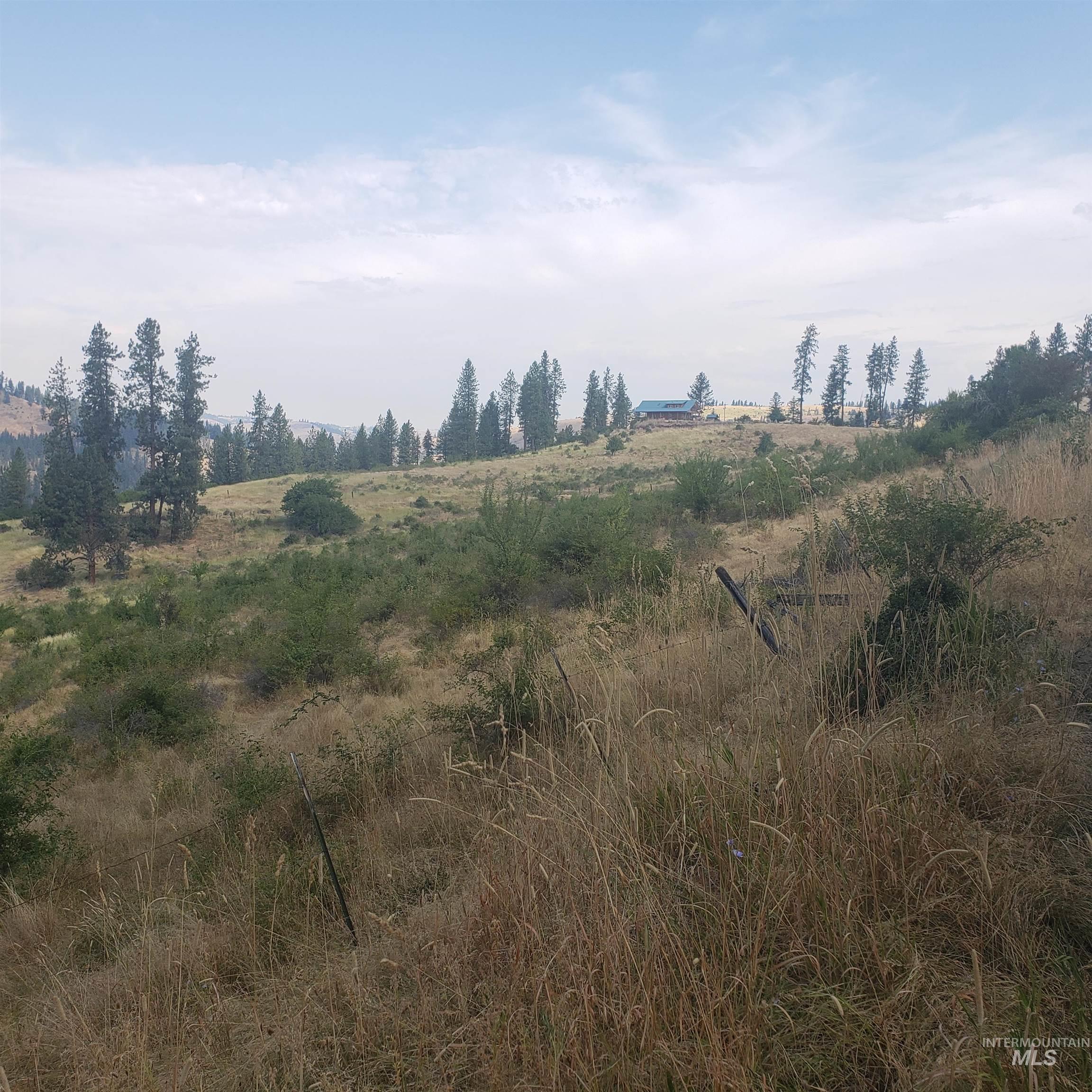 TBD Clearwater Drive, Harpster, Idaho 83552, Land For Sale, Price $99,000,MLS 98856058