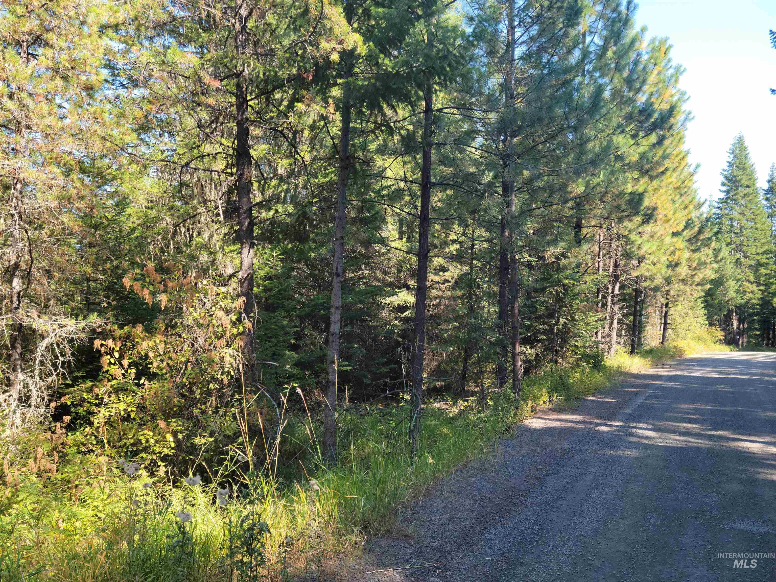 TBD Lacey Meadows Road, Weippe, Idaho 83553, Land For Sale, Price $110,000, 98859431
