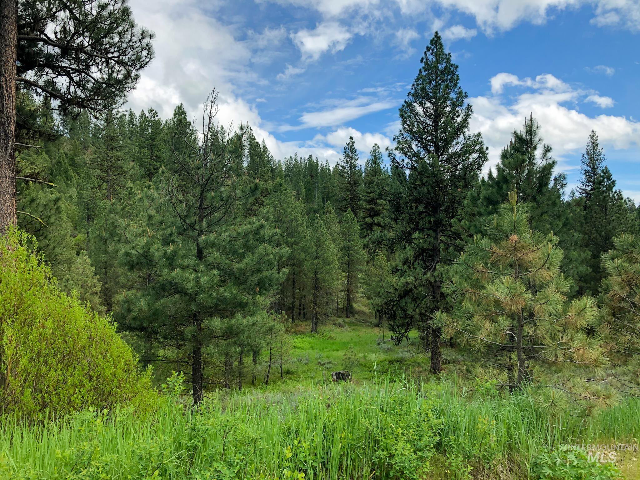 TBD Meadow Creek Drive, Idaho City, Idaho 83631, Land For Sale, Price $398,000,MLS 98860293