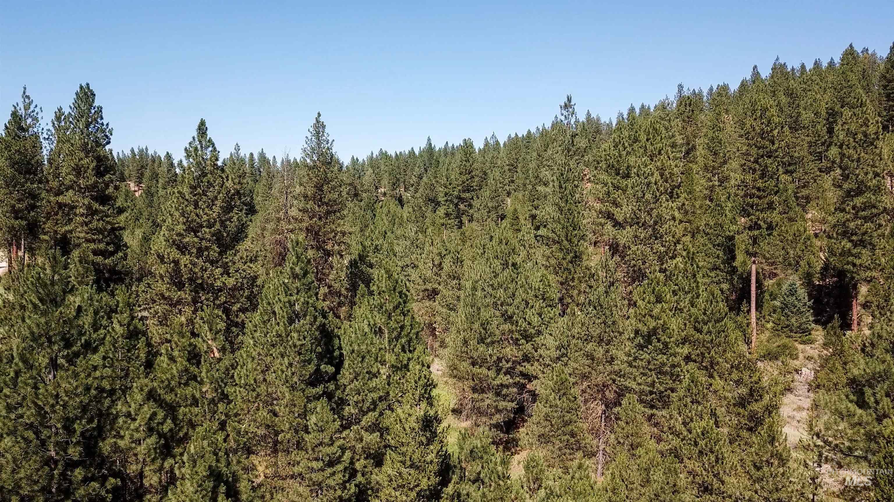 TBD Meadow Creek Drive, Idaho City, Idaho 83631, Land For Sale, Price $398,000,MLS 98860293