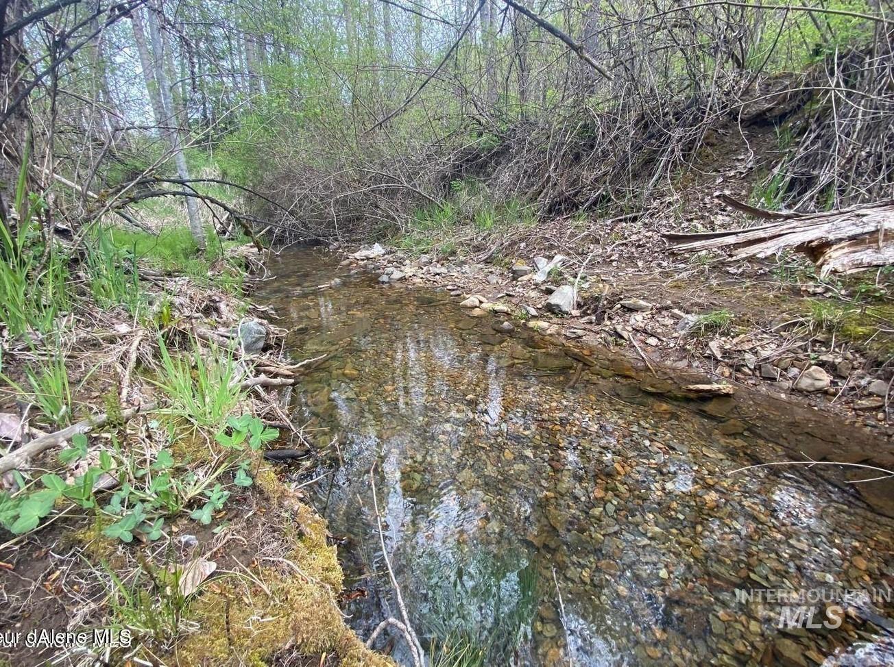 NNA 20.0ac French Gulch, Pinehurst, Idaho 83839, Land For Sale, Price $249,900, 98861237