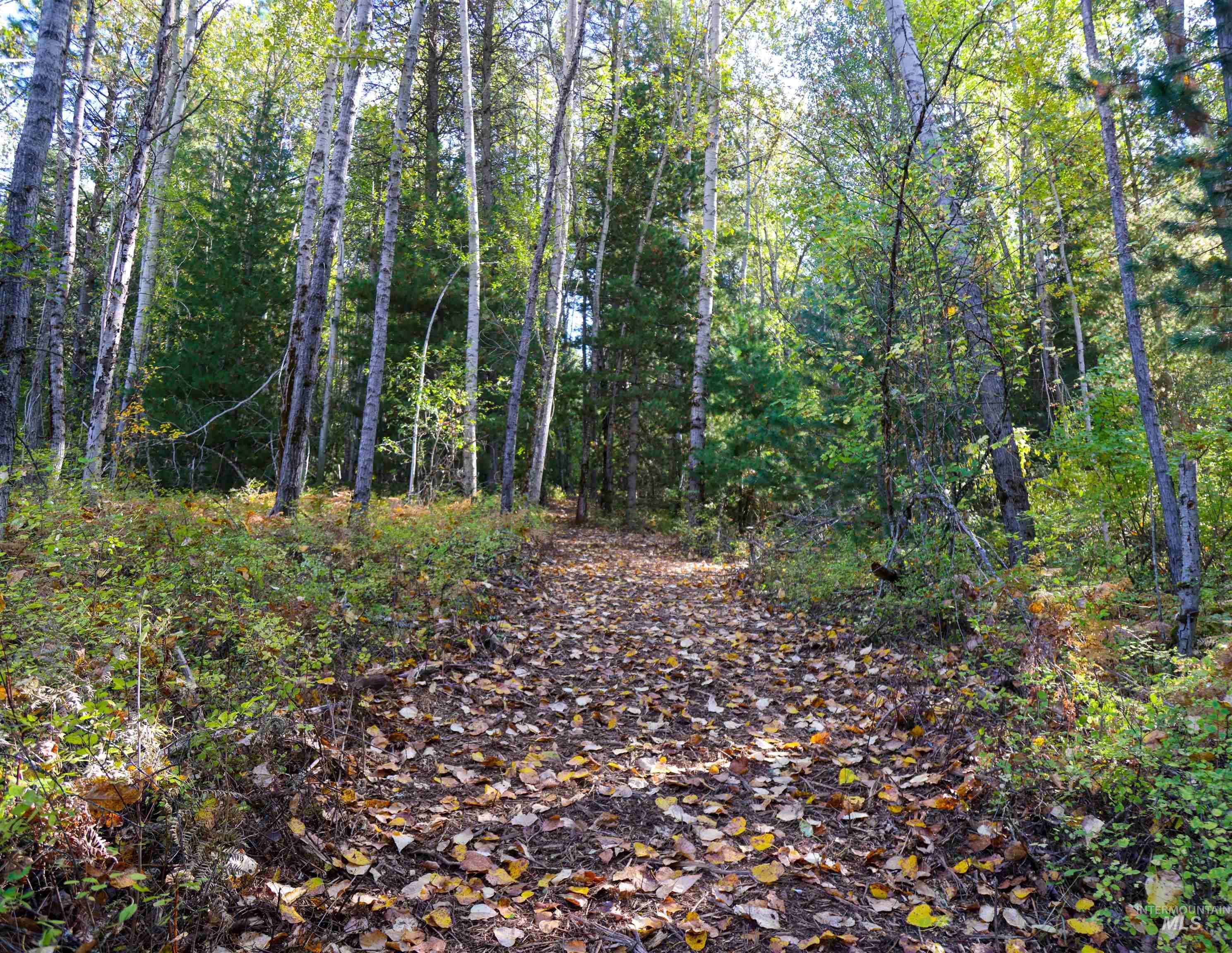 NNA 20.0ac French Gulch, Pinehurst, Idaho 83839, Land For Sale, Price $249,900, 98861237