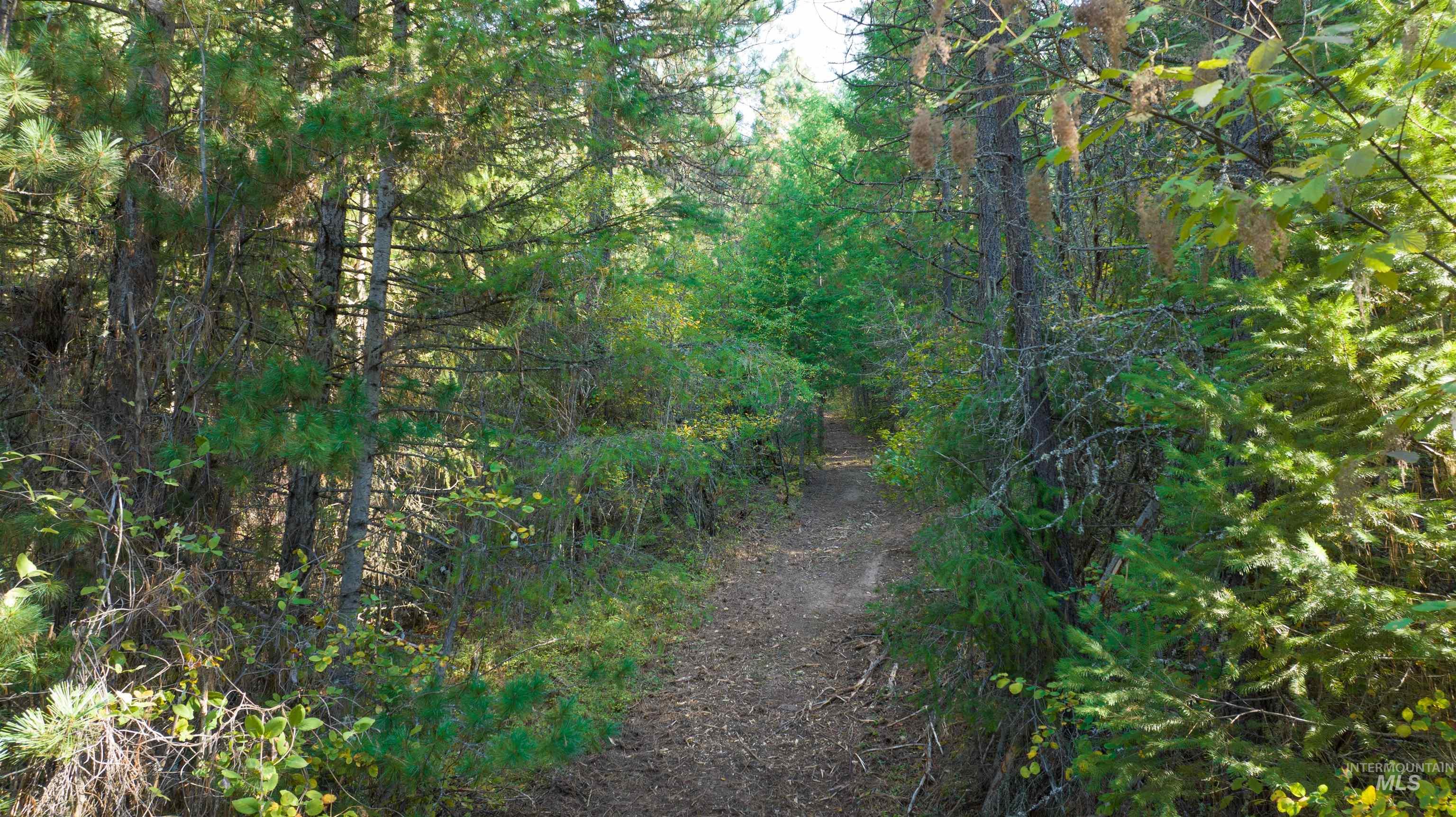 NNA 10.91ac French Gulch, Pinehurst, Idaho 83839, Land For Sale, Price $149,900, 98861240
