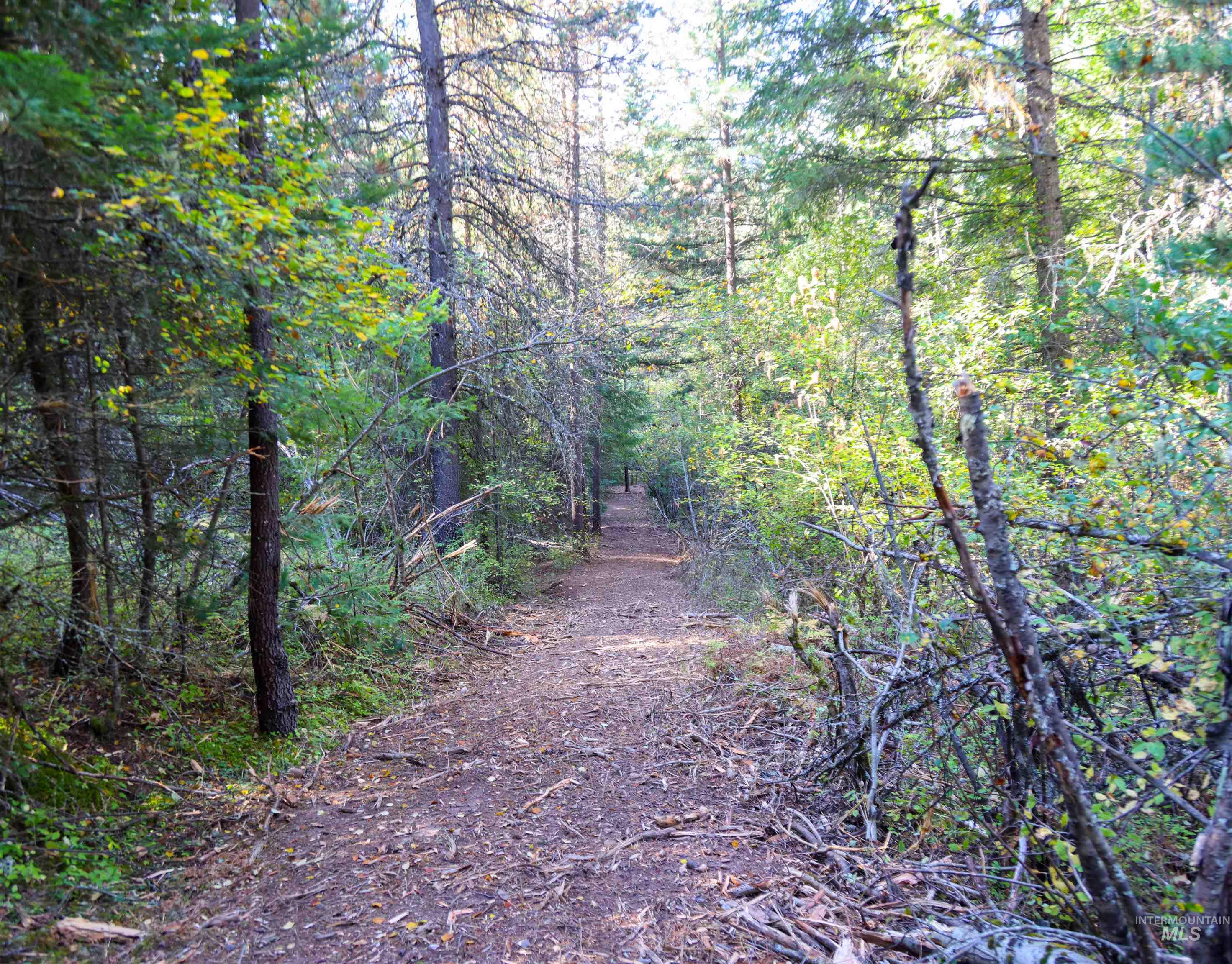NNA 10.91ac French Gulch, Pinehurst, Idaho 83839, Land For Sale, Price $149,900, 98861240