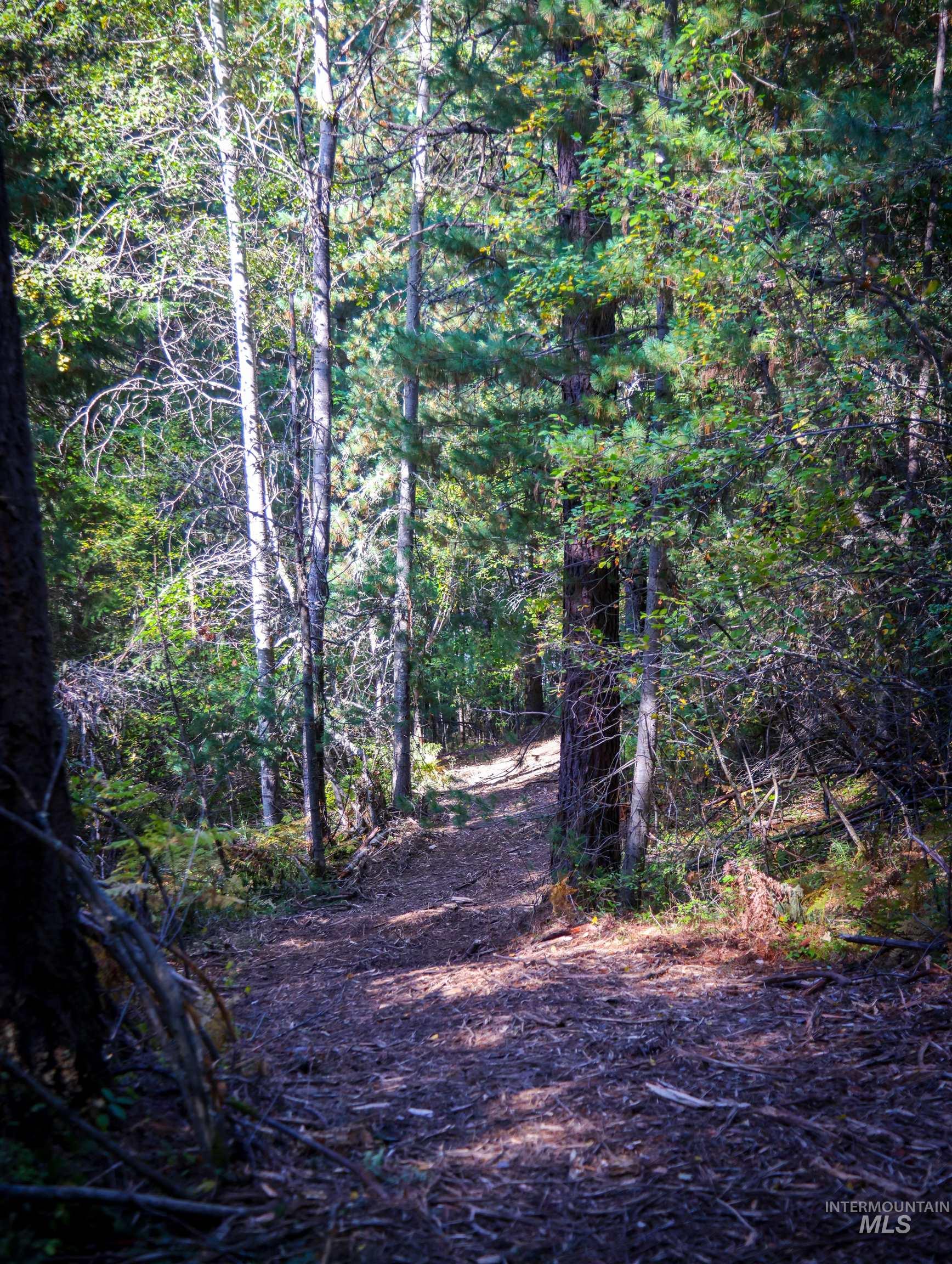 NNA 10.91ac French Gulch, Pinehurst, Idaho 83839, Land For Sale, Price $149,900, 98861240