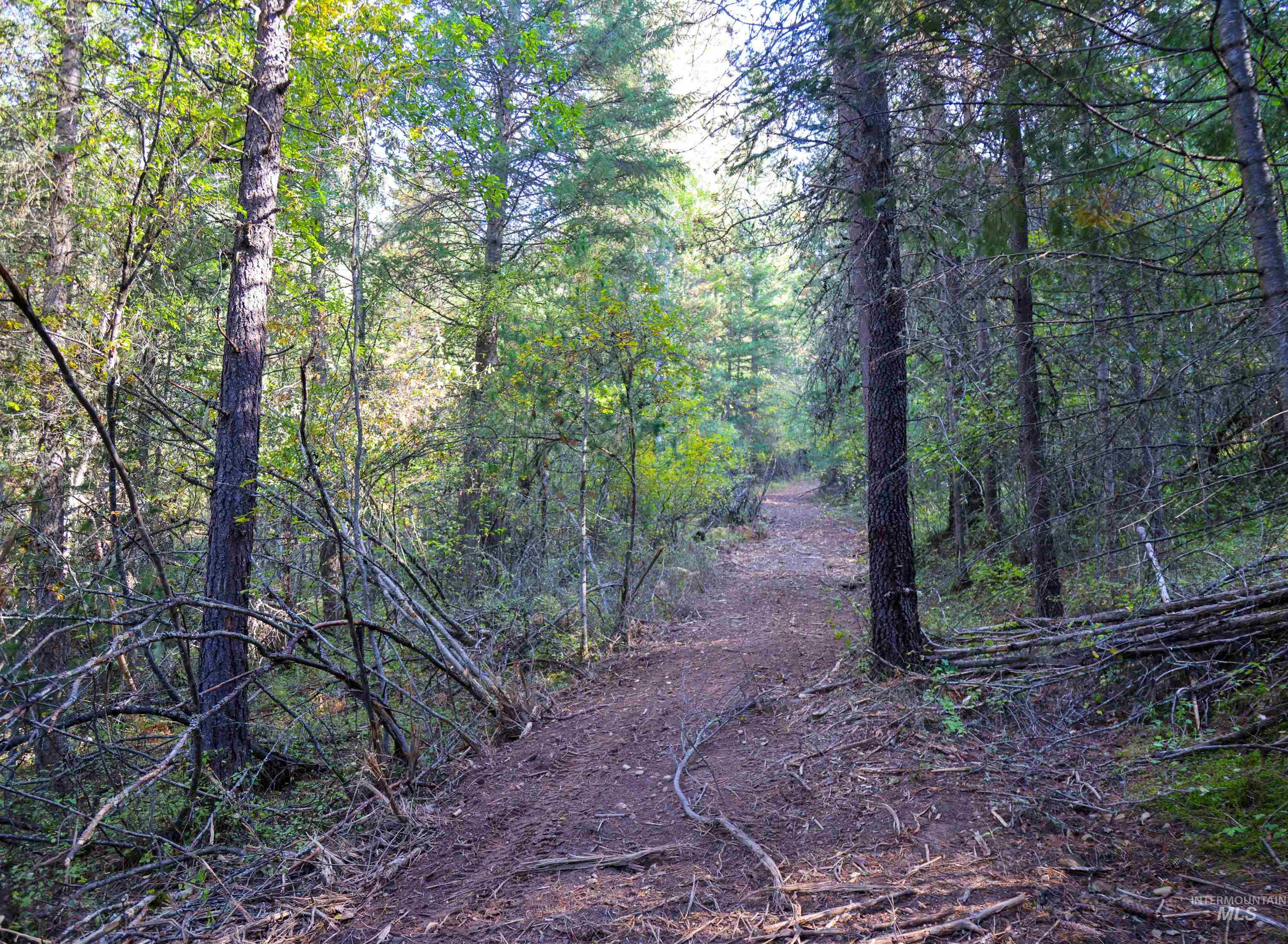 NNA 10.91ac French Gulch, Pinehurst, Idaho 83839, Land For Sale, Price $149,900, 98861240