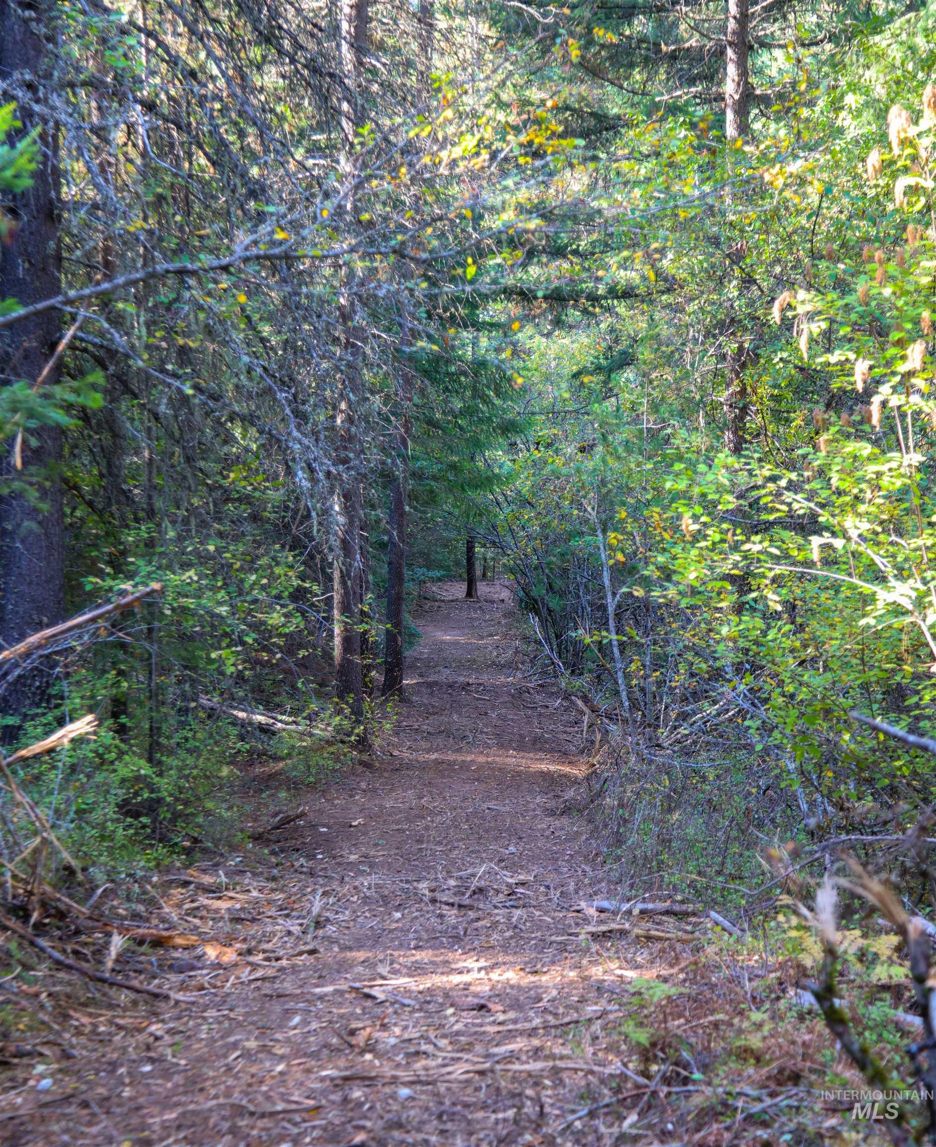 NNA 10.91ac French Gulch, Pinehurst, Idaho 83839, Land For Sale, Price $149,900, 98861240