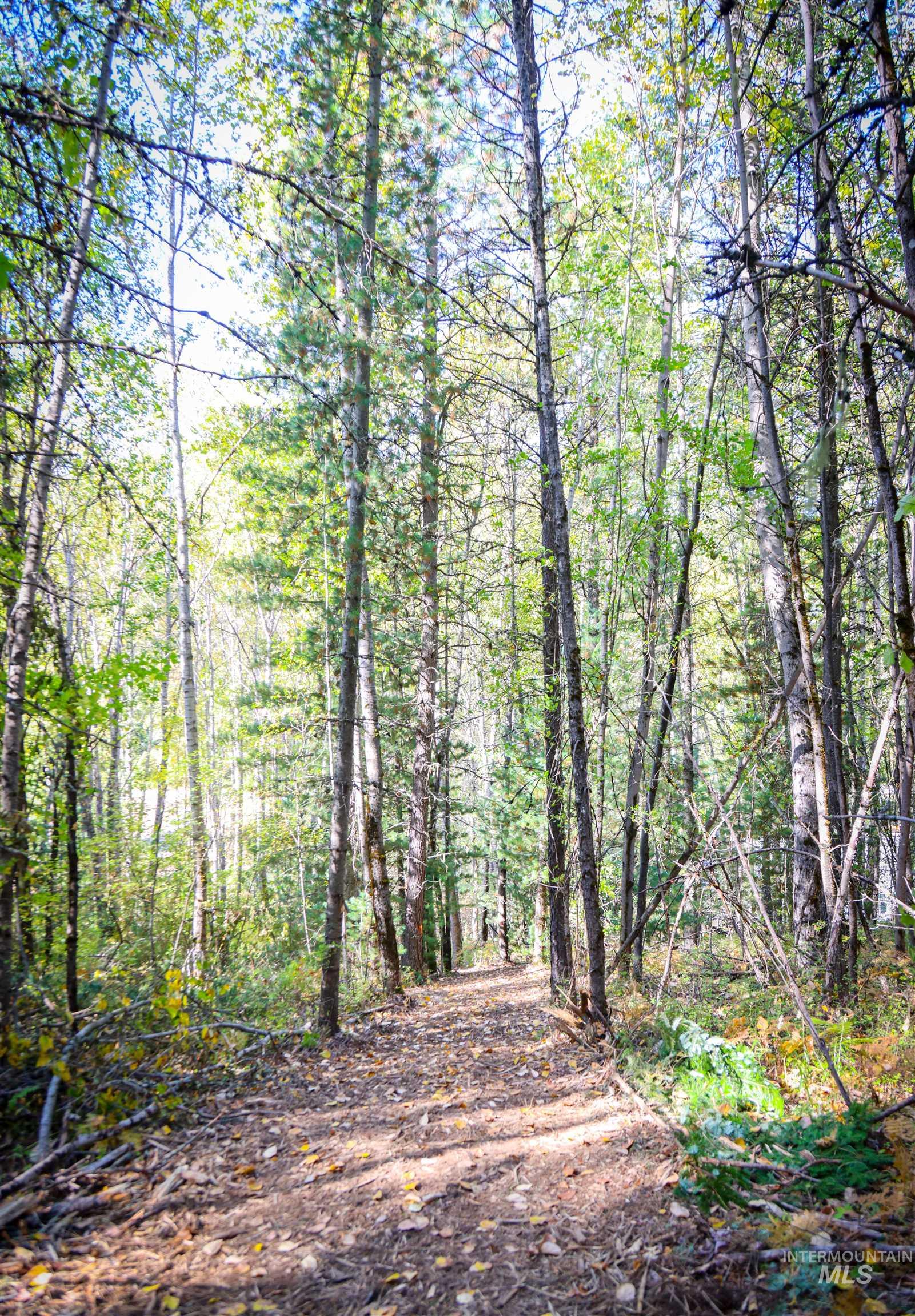 NNA 10.91ac French Gulch, Pinehurst, Idaho 83839, Land For Sale, Price $149,900, 98861240