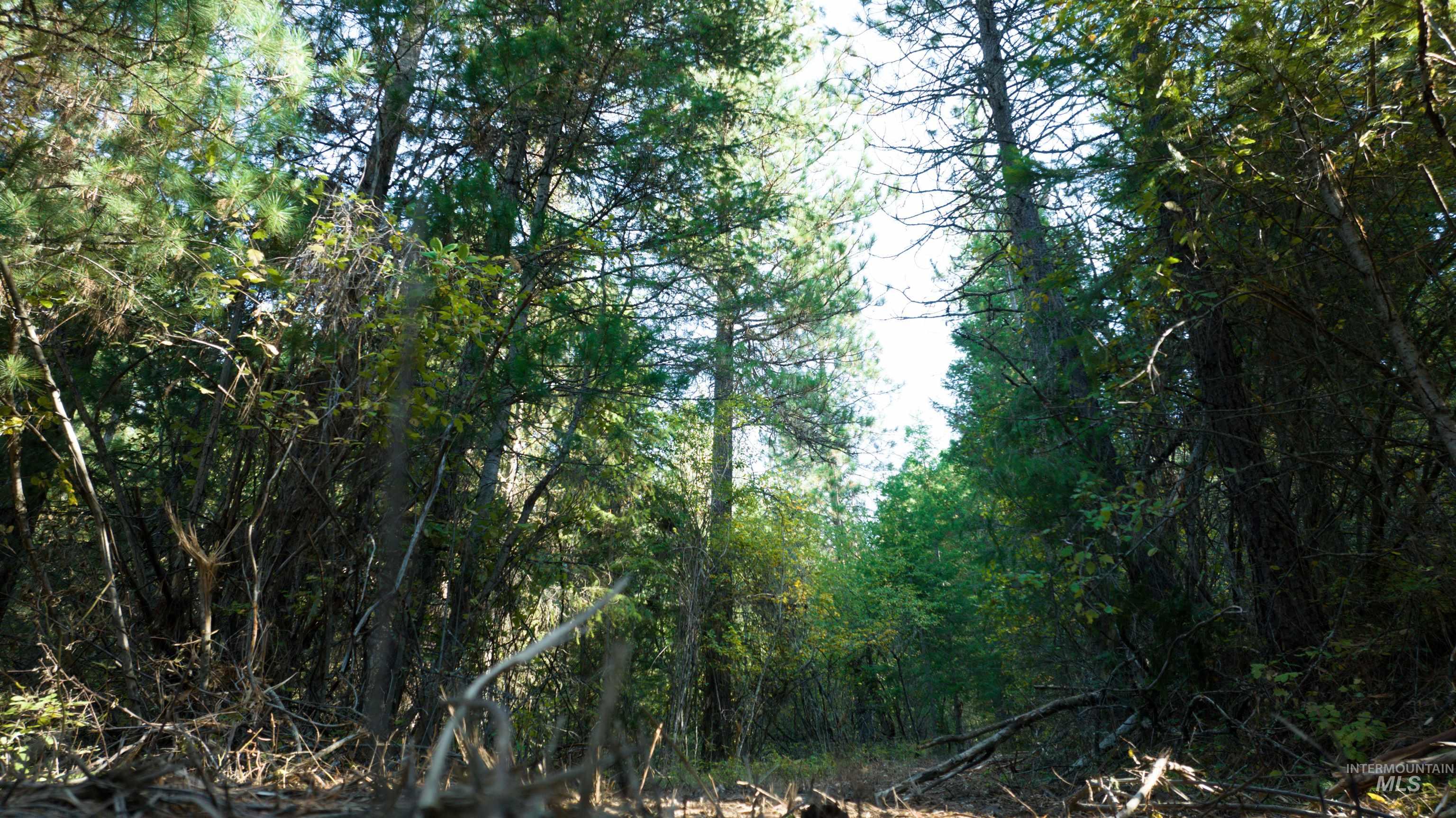 NNA 10.91ac French Gulch, Pinehurst, Idaho 83839, Land For Sale, Price $149,900, 98861240