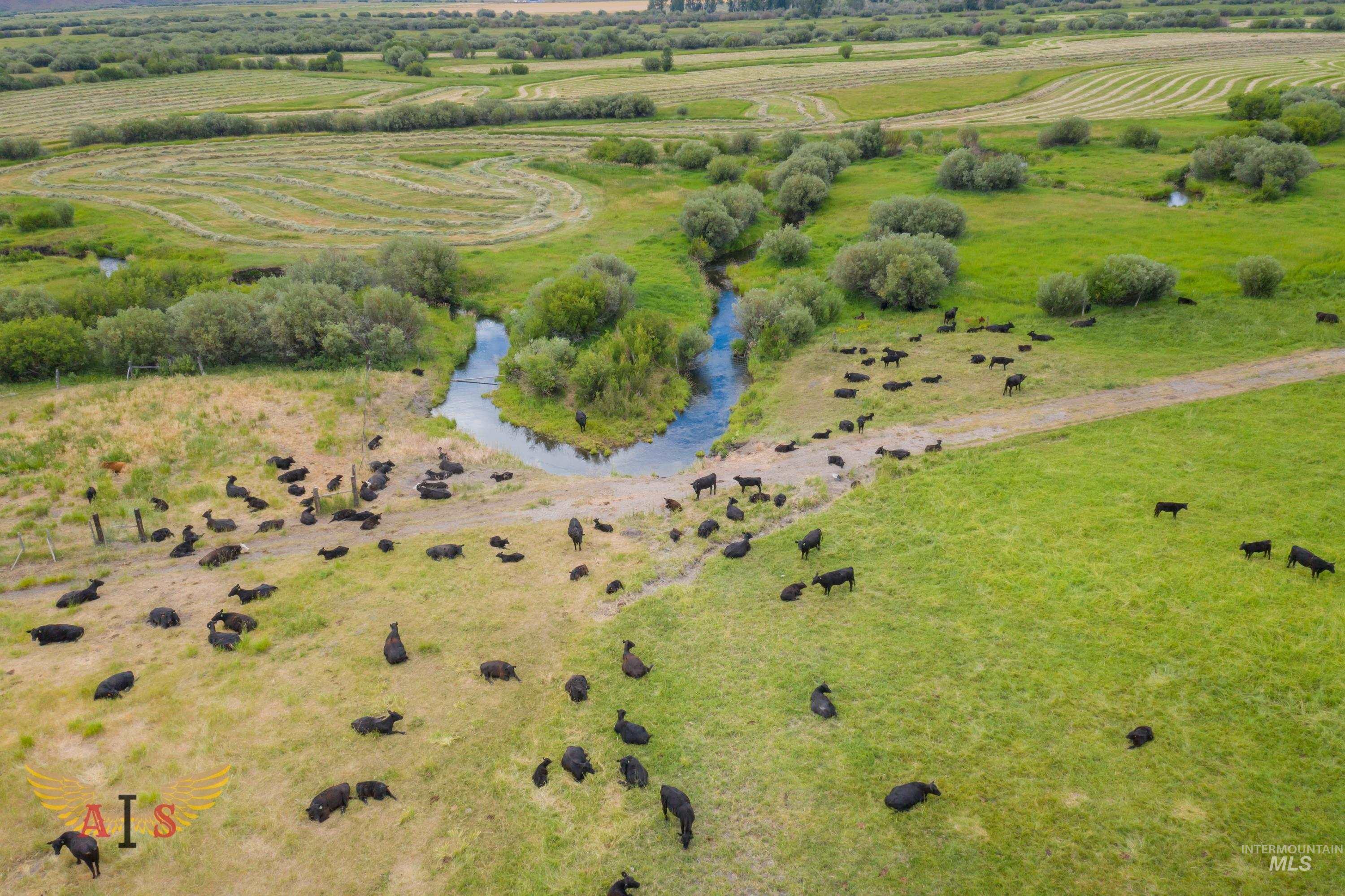 4554 Cherry Creek Rd, Moore, Idaho 83213, Farm & Ranch For Sale, Price $2,100,000, 98861443