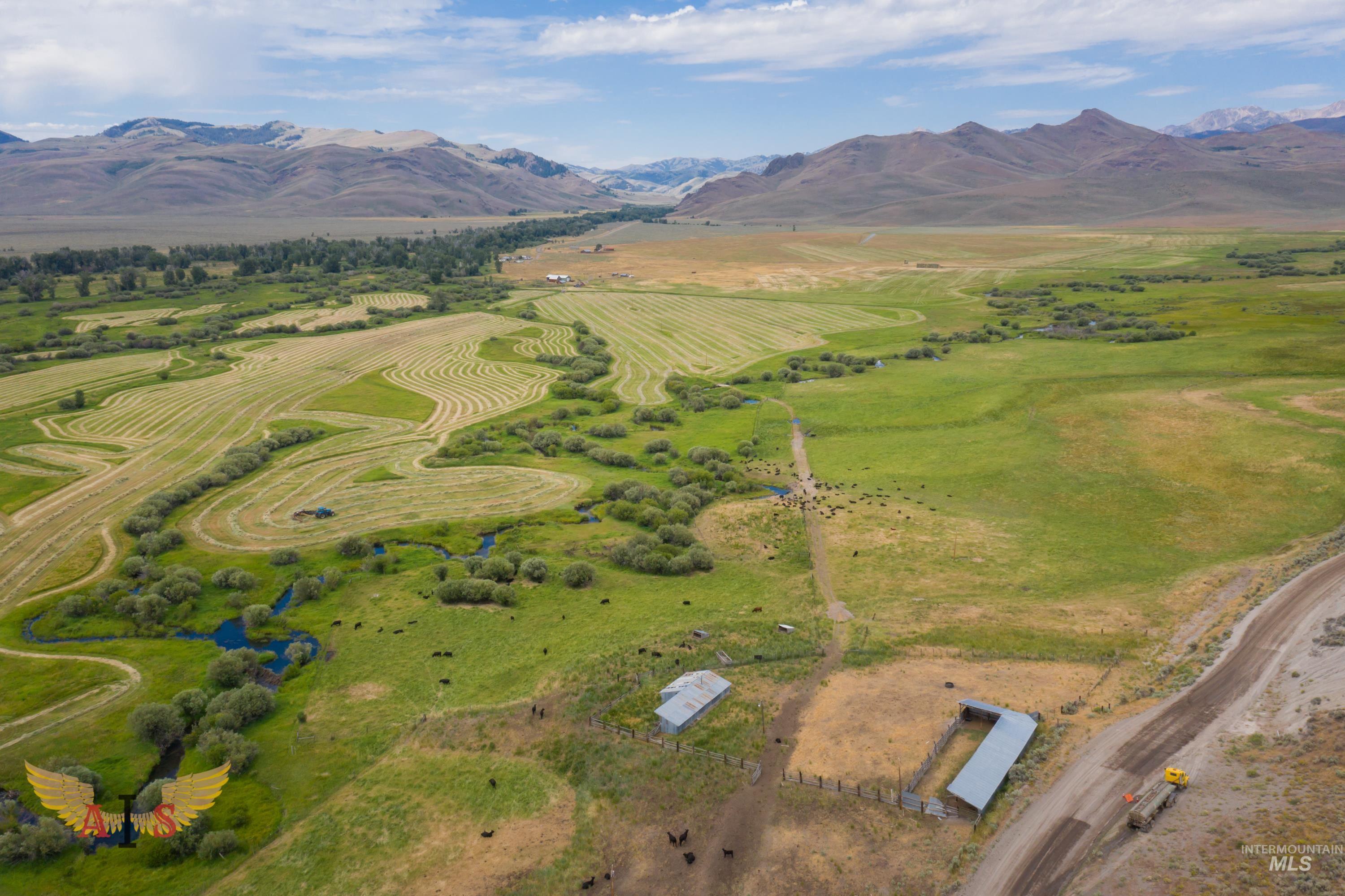 4554 Cherry Creek Rd, Moore, Idaho 83213, Farm & Ranch For Sale, Price $2,100,000, 98861443