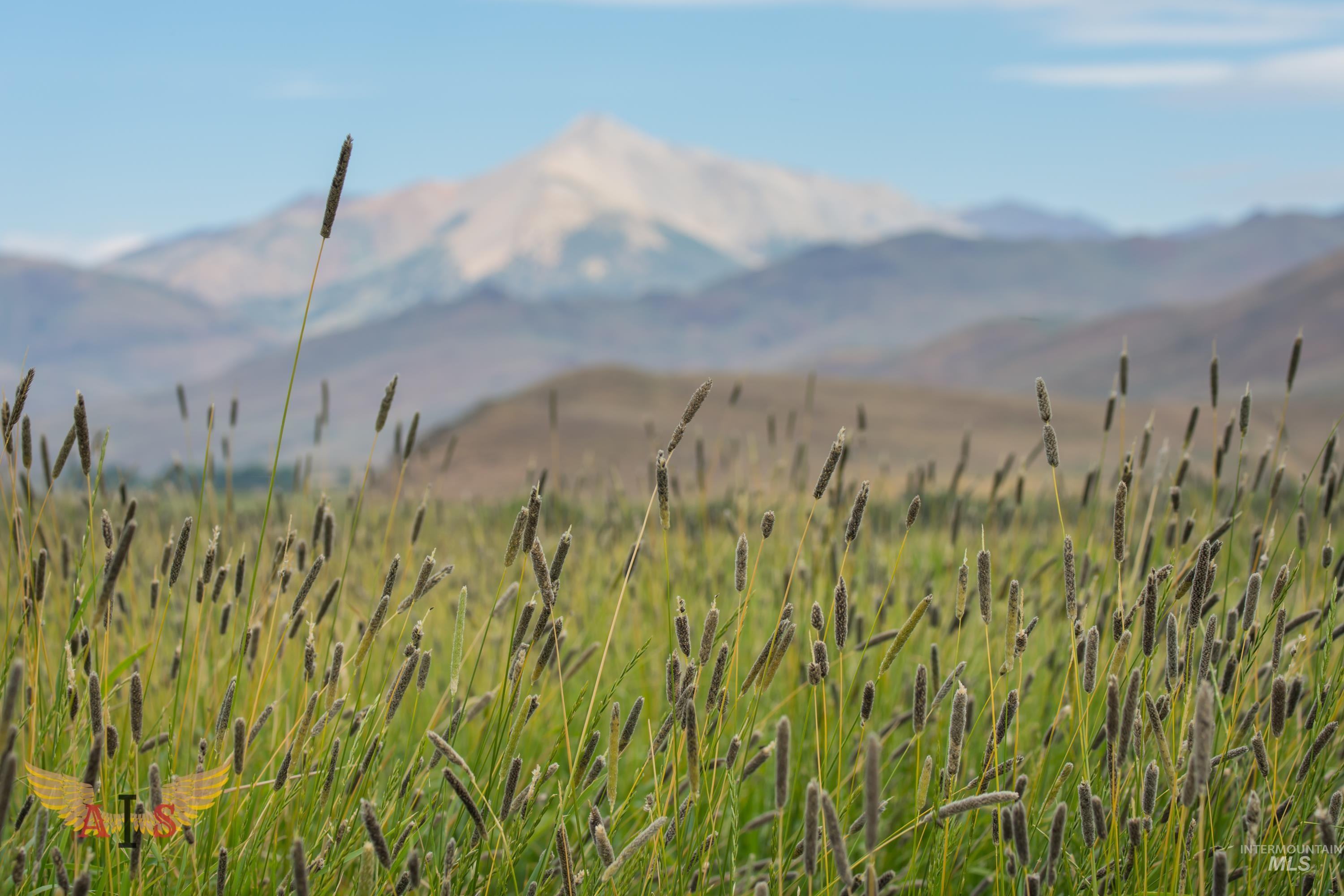 4554 Cherry Creek Rd, Moore, Idaho 83213, Farm & Ranch For Sale, Price $2,100,000, 98861443