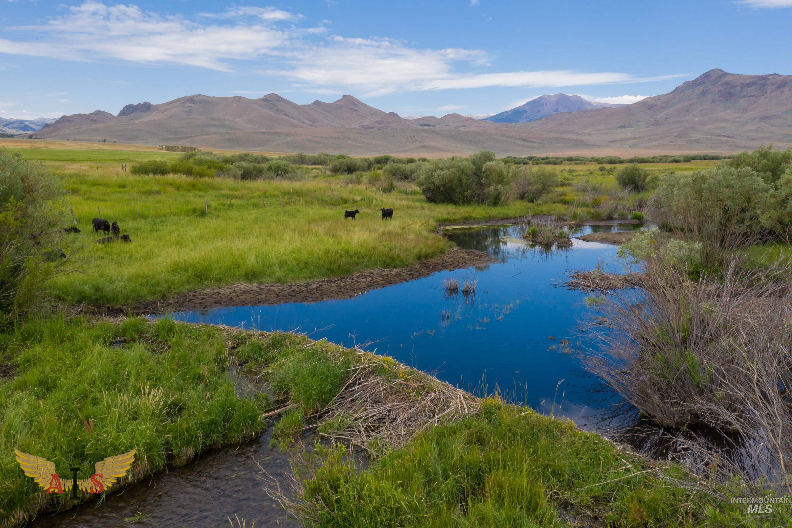 4554 Cherry Creek Rd, Moore, Idaho 83213, Farm & Ranch For Sale, Price $2,100,000, 98861443