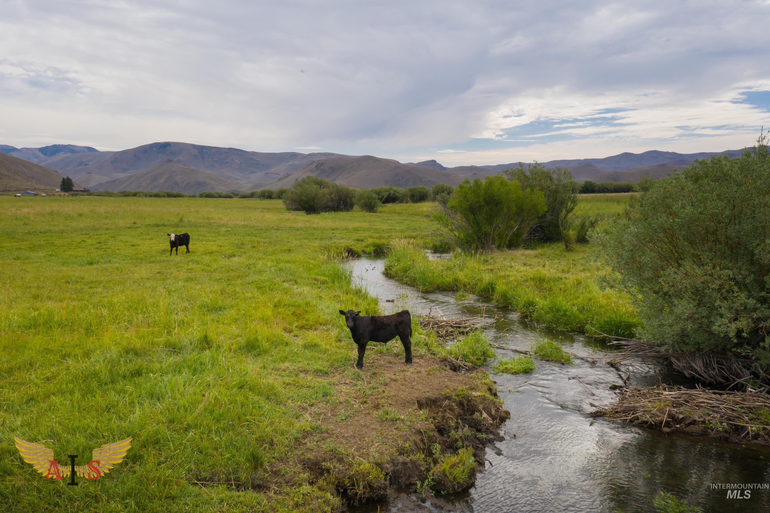 4554 Cherry Creek Rd, Moore, Idaho 83213, Farm & Ranch For Sale, Price $2,100,000, 98861443