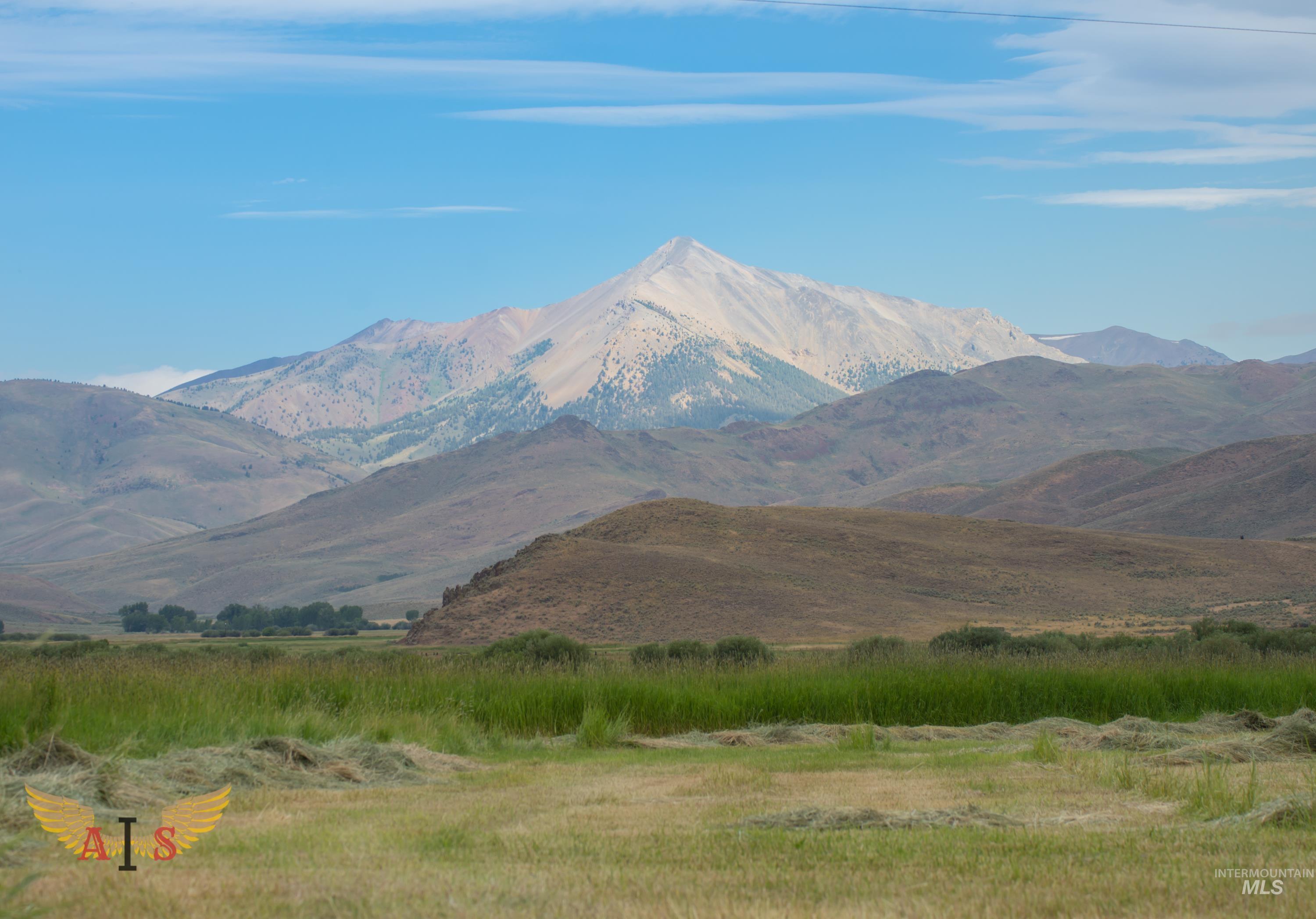 4554 Cherry Creek Rd, Moore, Idaho 83213, Farm & Ranch For Sale, Price $2,100,000, 98861443