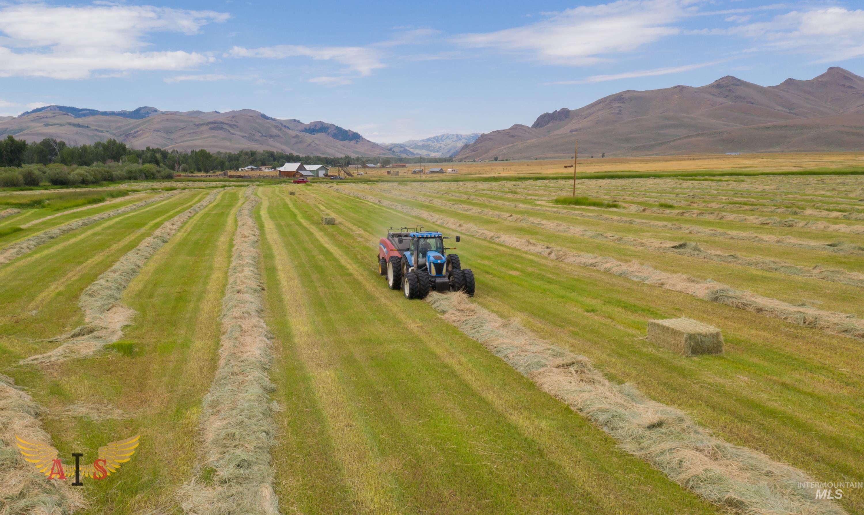 4554 Cherry Creek Rd, Moore, Idaho 83213, Farm & Ranch For Sale, Price $2,100,000, 98861443