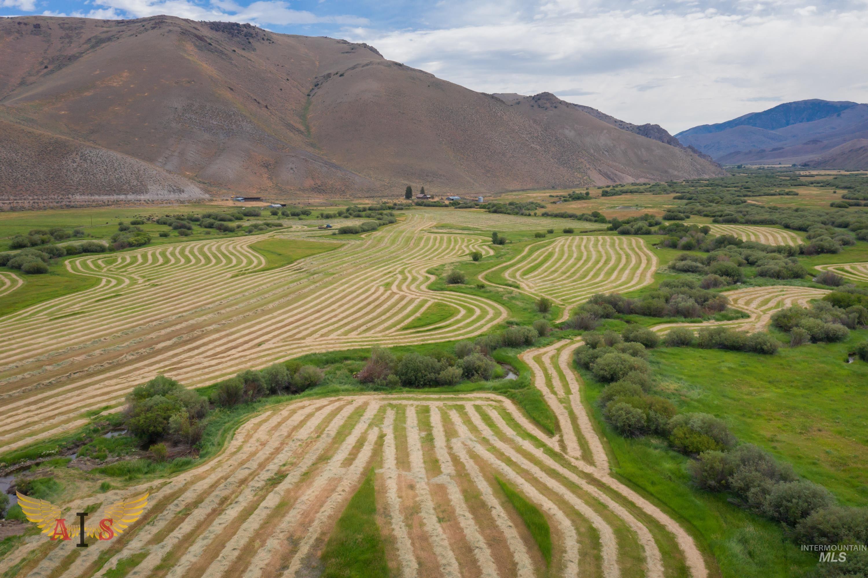 4554 Cherry Creek Rd, Moore, Idaho 83213, Farm & Ranch For Sale, Price $2,100,000,MLS 98861443