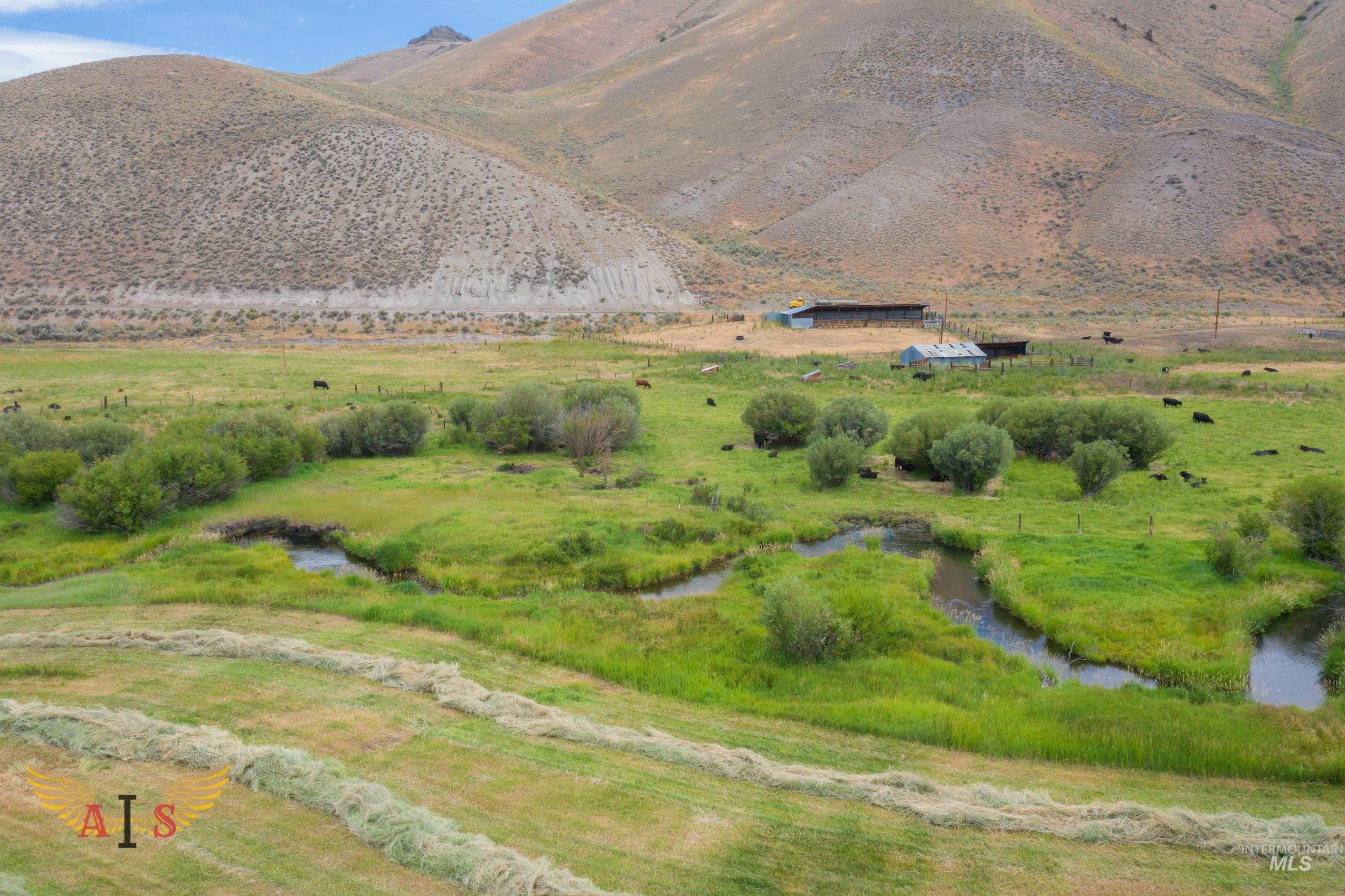 4554 Cherry Creek Rd, Moore, Idaho 83213, Farm & Ranch For Sale, Price $2,100,000, 98861443