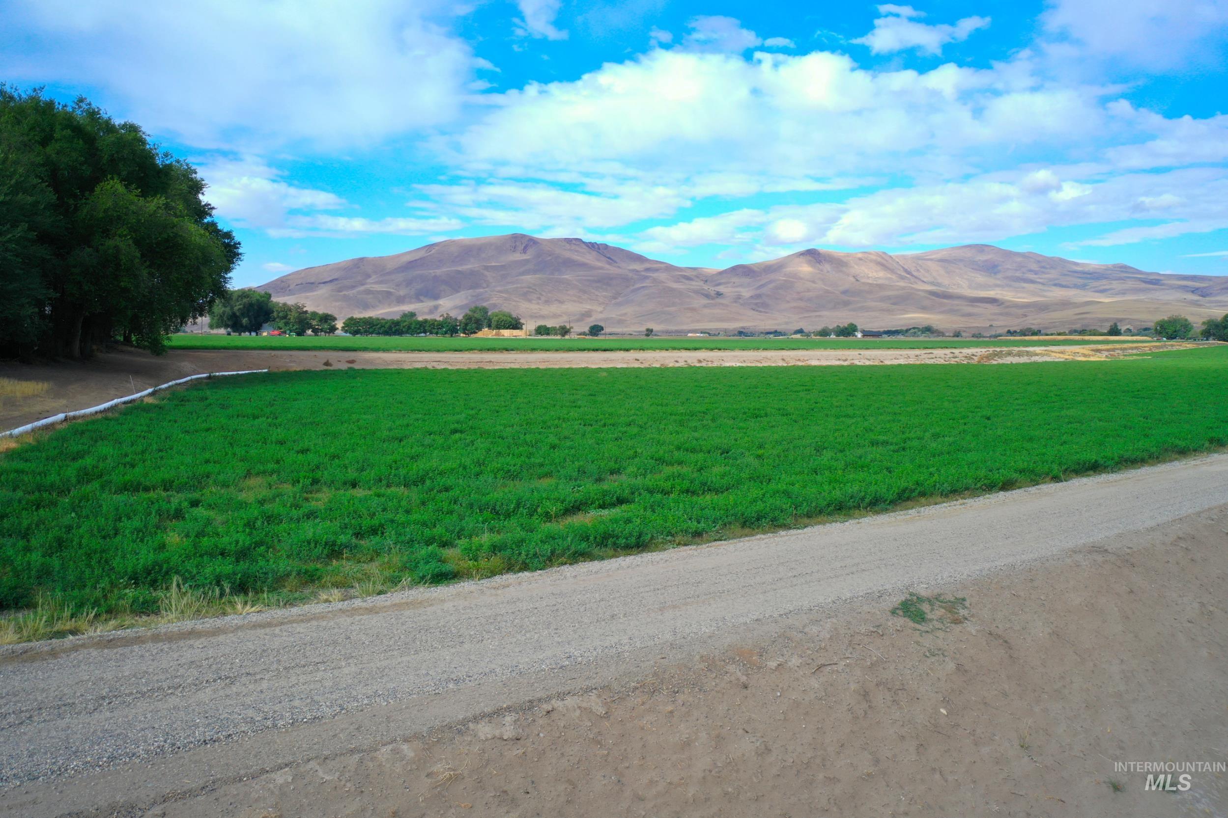990 Conductor Rd, Huntington, Oregon 97907, 3 Bedrooms, 1 Bathroom, Farm & Ranch For Sale, Price $1,350,000, 98862376