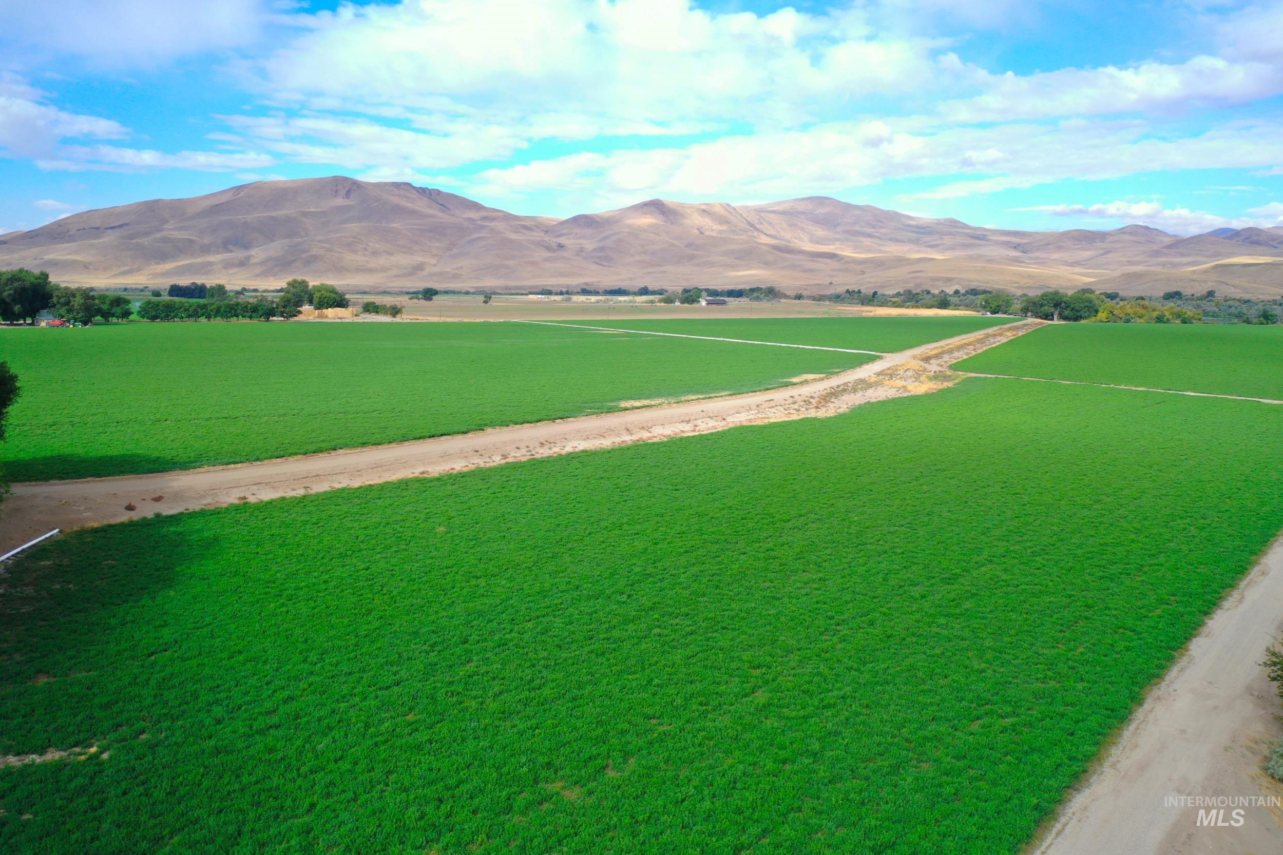 990 Conductor Rd, Huntington, Oregon 97907, 3 Bedrooms, 1 Bathroom, Farm & Ranch For Sale, Price $1,350,000, 98862376