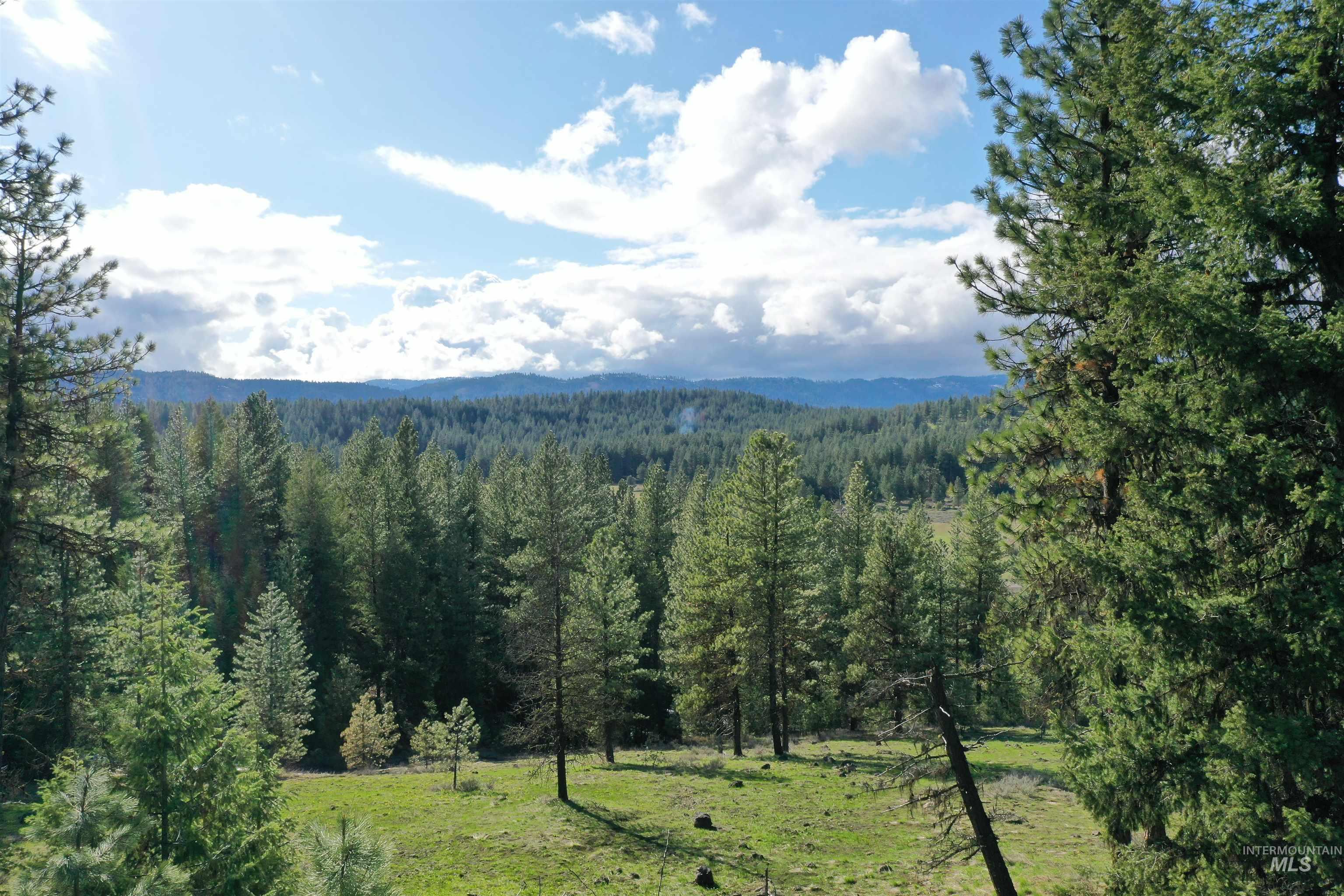 TBD TAMARACK VIEW DR, New Meadows, Idaho 83654, Land For Sale, Price $145,000, 98863918