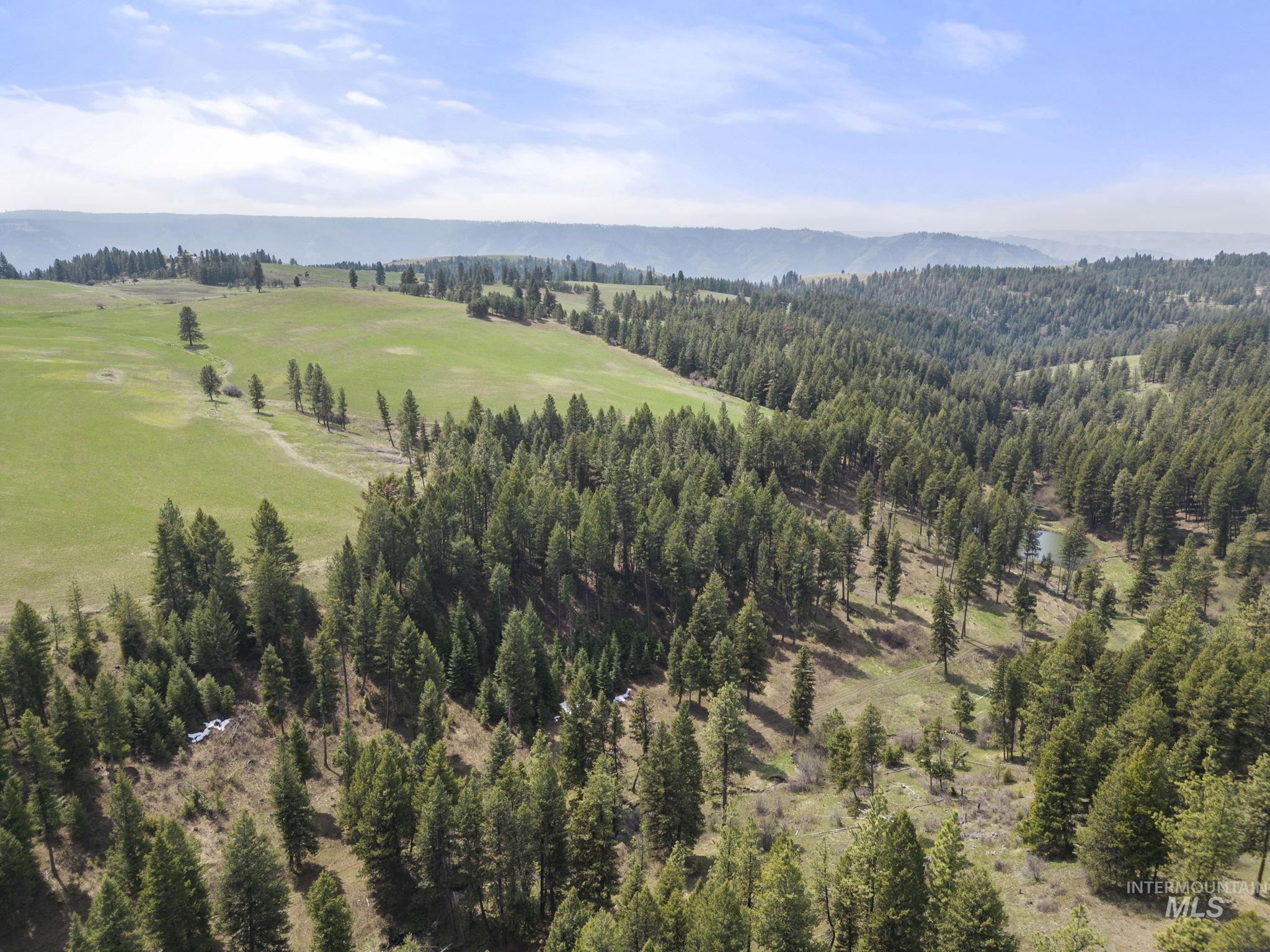 TBD Rieman Rd, CottonWood, Idaho 83522, Farm & Ranch For Sale, Price $800,000, 98864893