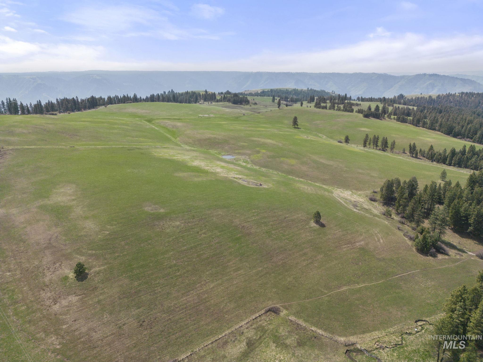 TBD Rieman Rd, CottonWood, Idaho 83522, Farm & Ranch For Sale, Price $800,000, 98864893