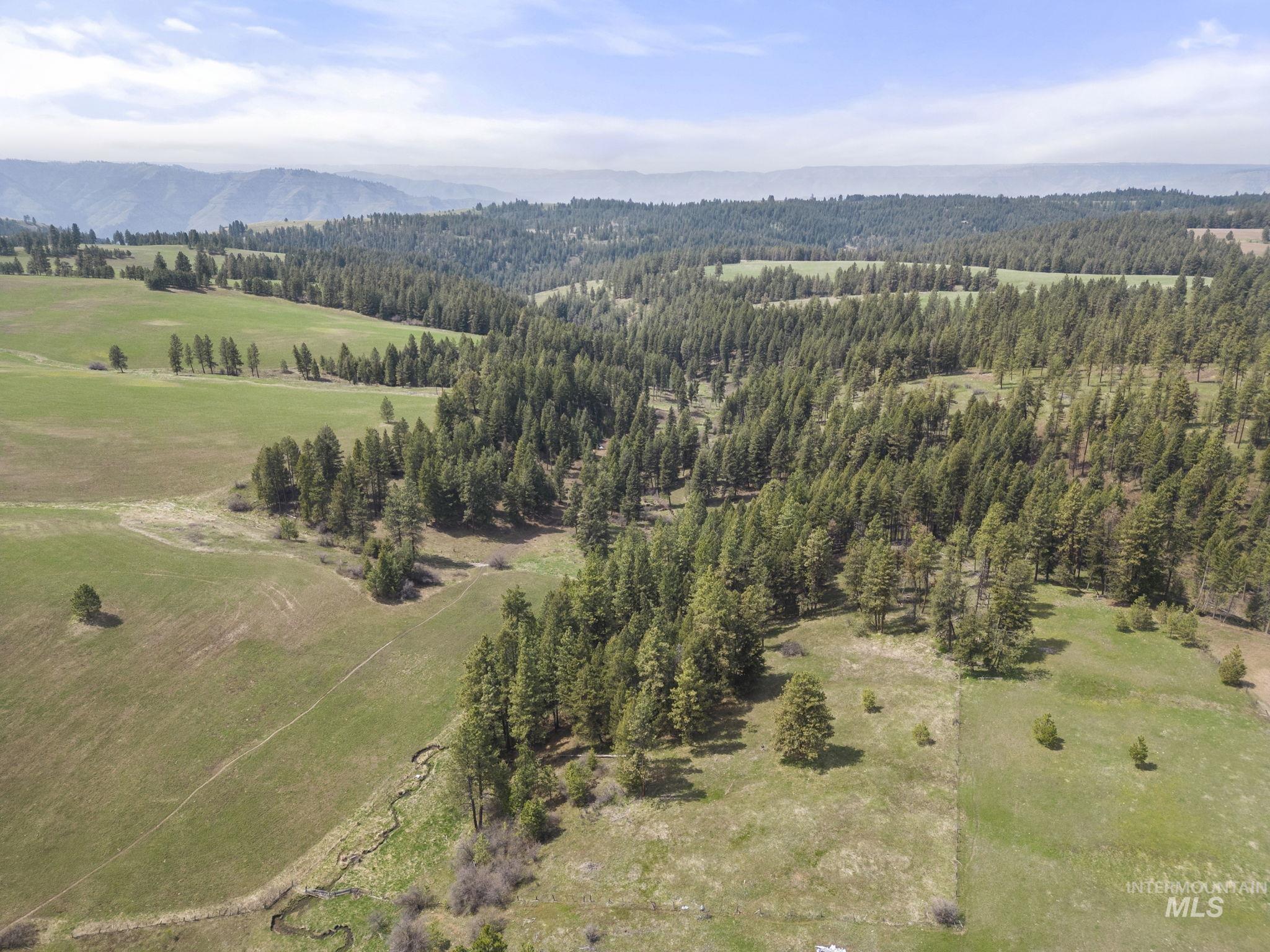 TBD Rieman Rd, CottonWood, Idaho 83522, Farm & Ranch For Sale, Price $800,000, 98864893